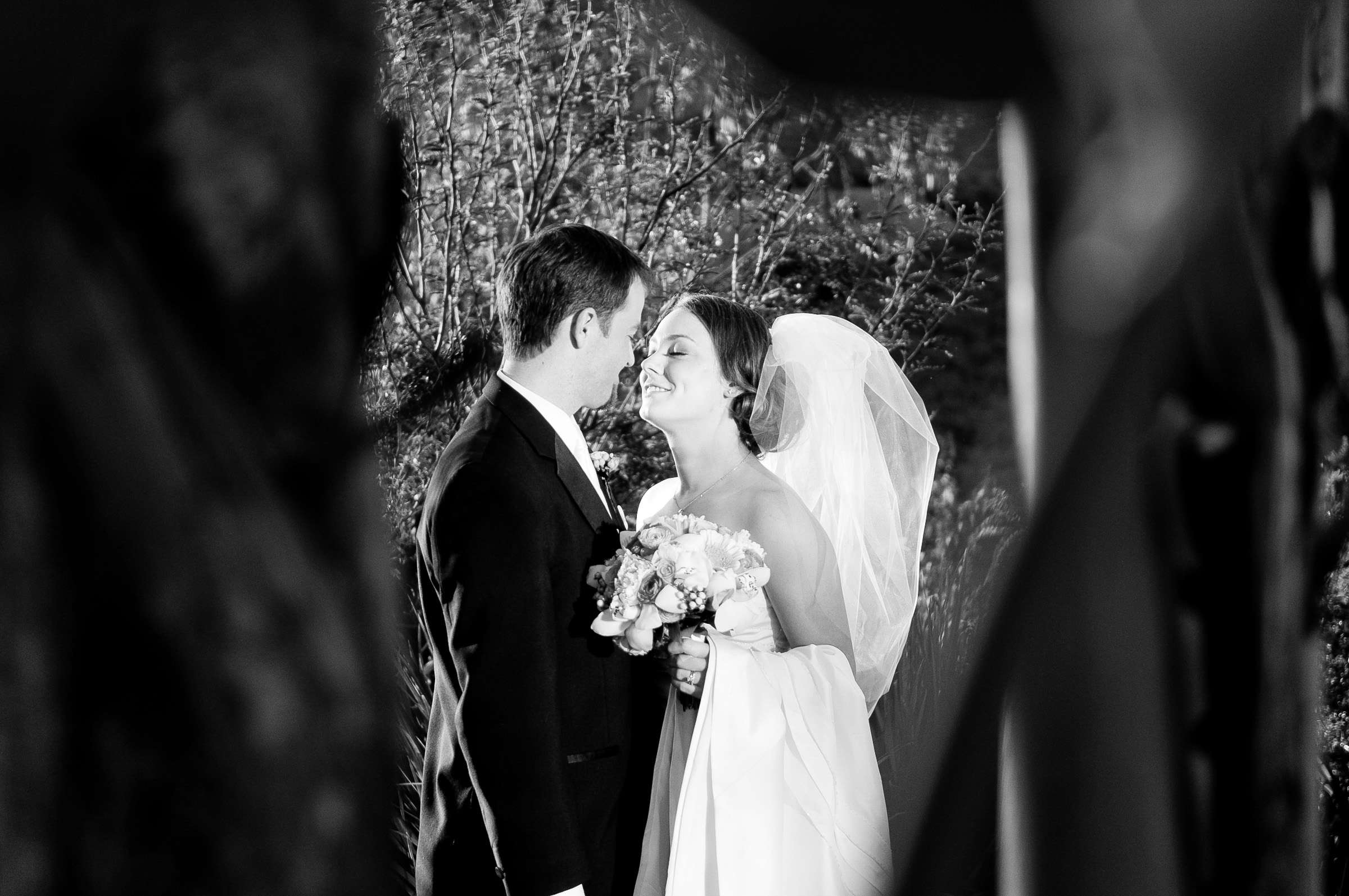 Elfin Forest Estates Wedding, Marc and Laura Wedding Photo #300669 by True Photography