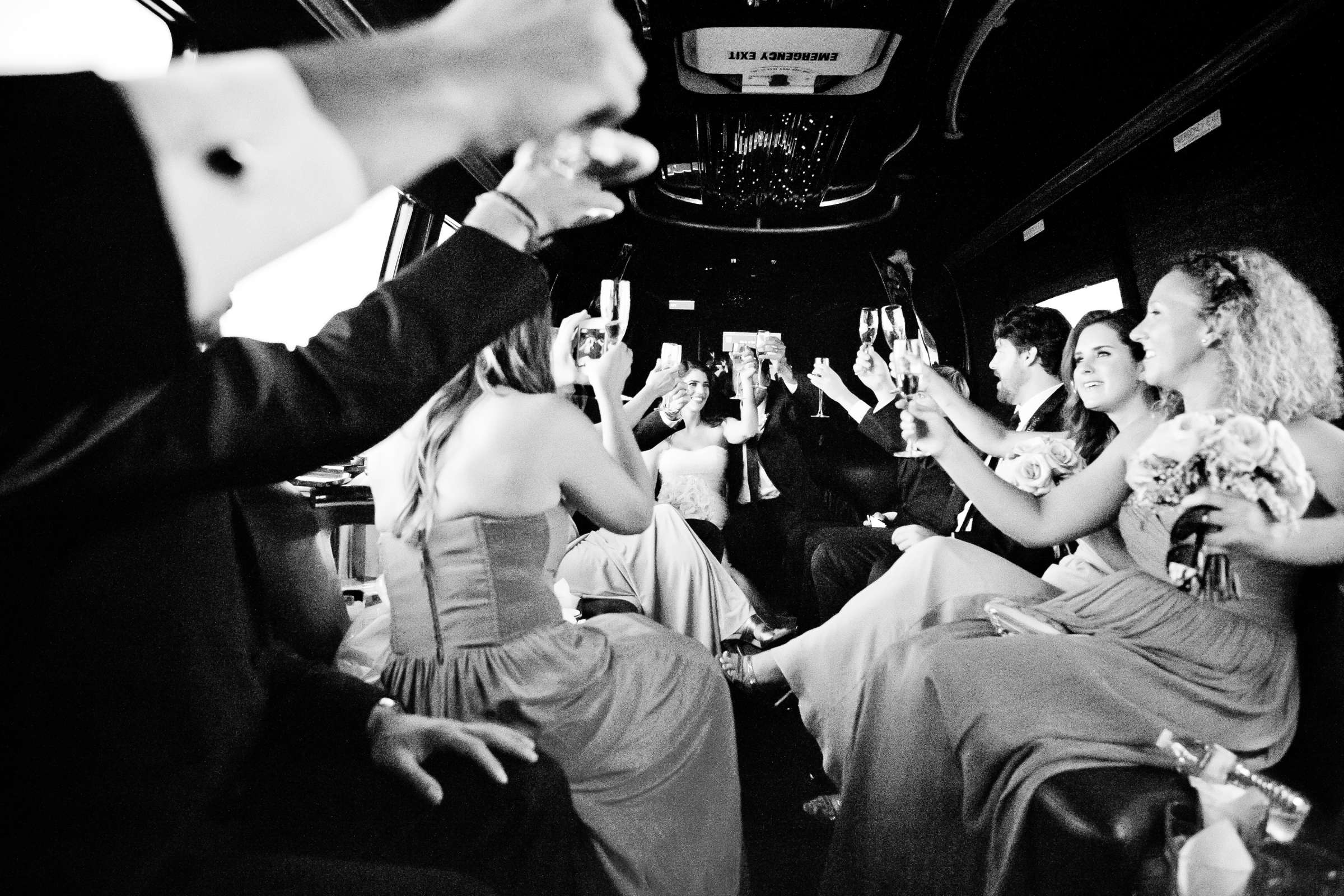 The Ultimate Skybox Wedding, Danielle and Damian Wedding Photo #321590 by True Photography
