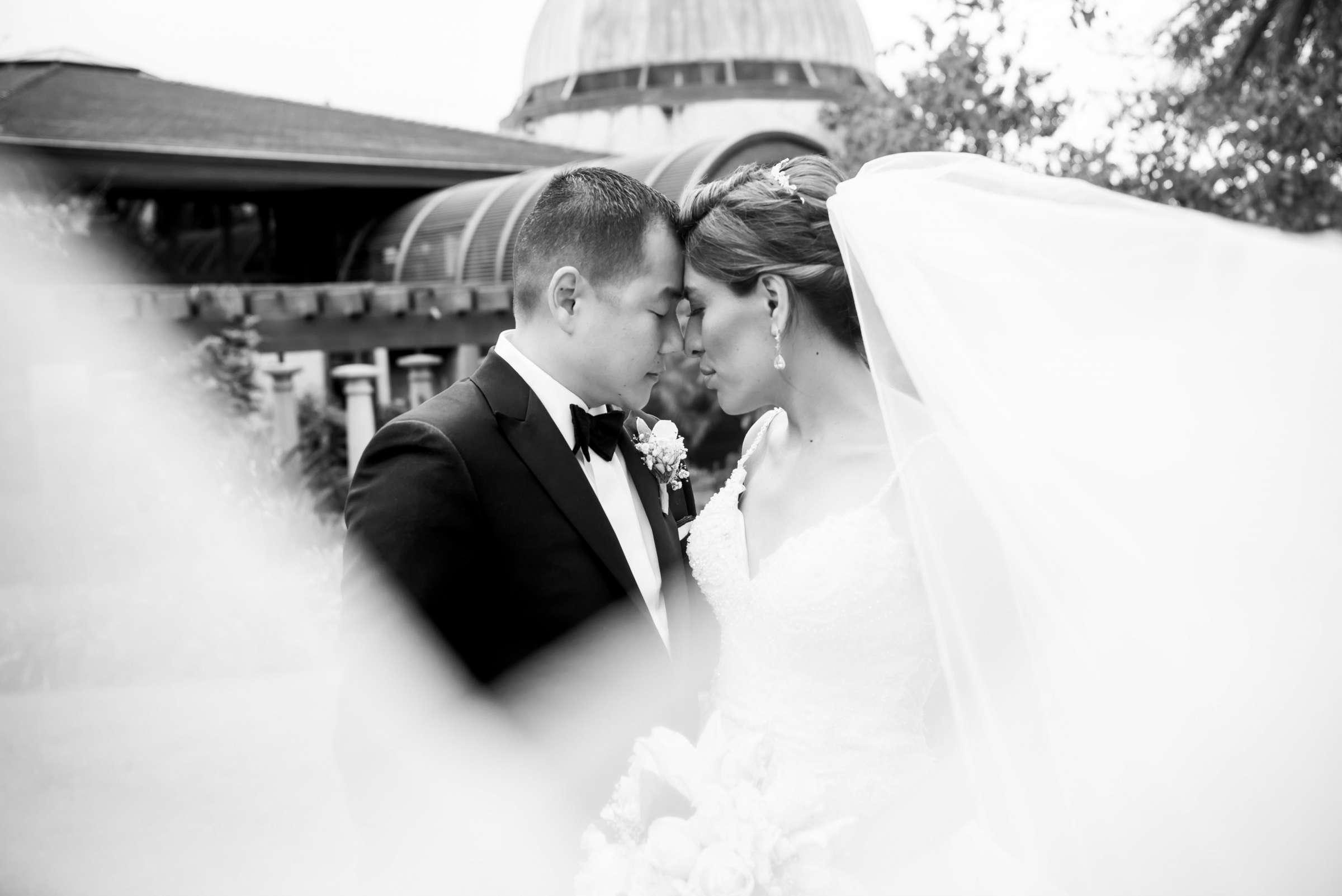 Veil at US Grant Wedding coordinated by Bliss Events, Vanessa and Andy Wedding Photo #1 by True Photography
