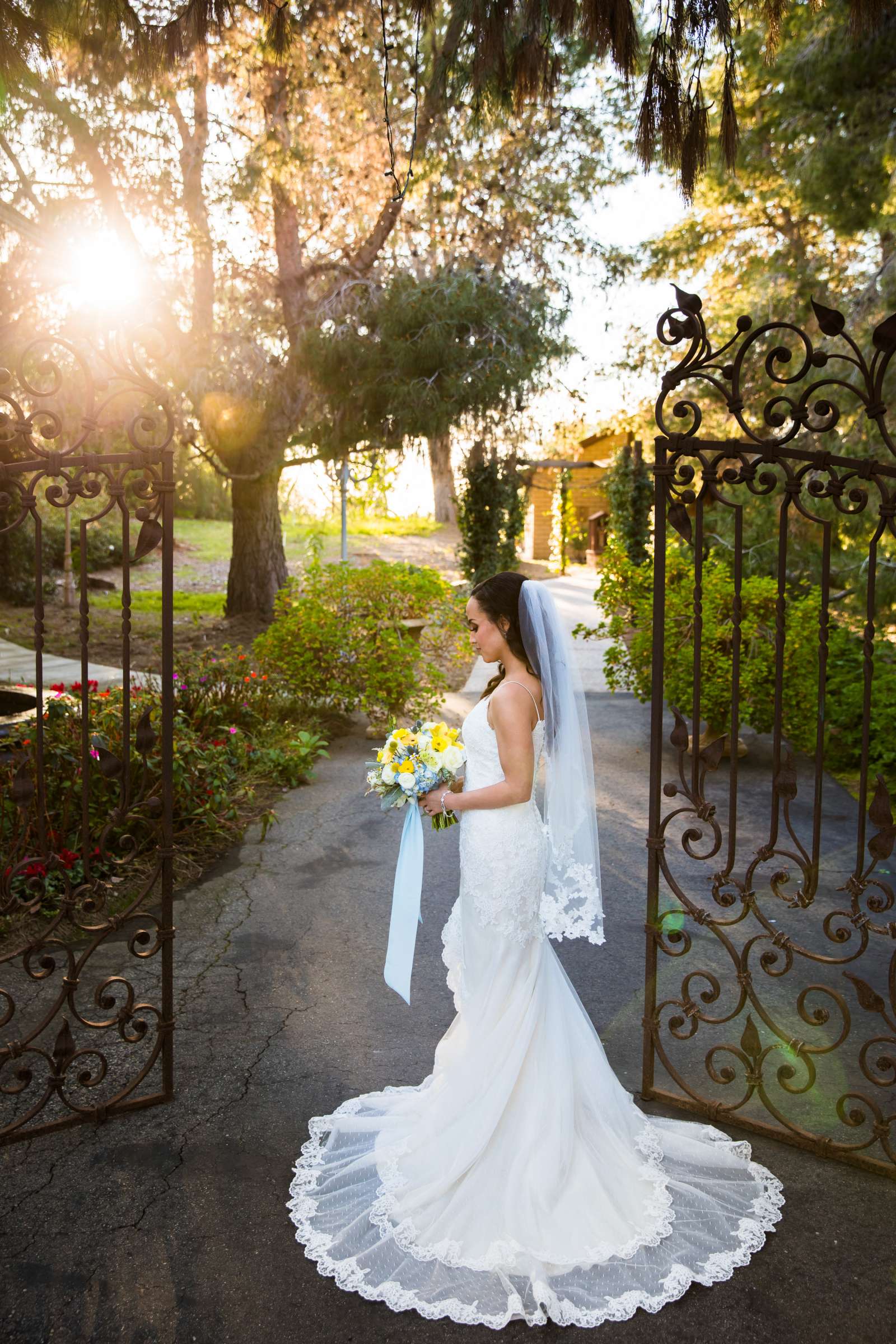 Ethereal Gardens Wedding, Rachel and Kevin Wedding Photo #7 by True Photography