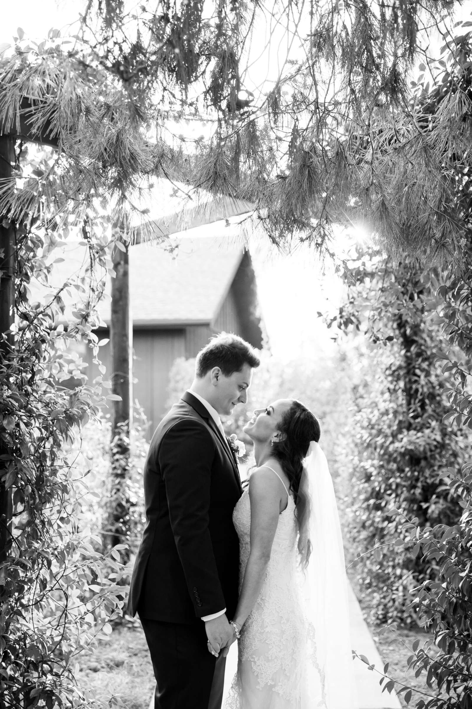 Ethereal Gardens Wedding, Rachel and Kevin Wedding Photo #79 by True Photography