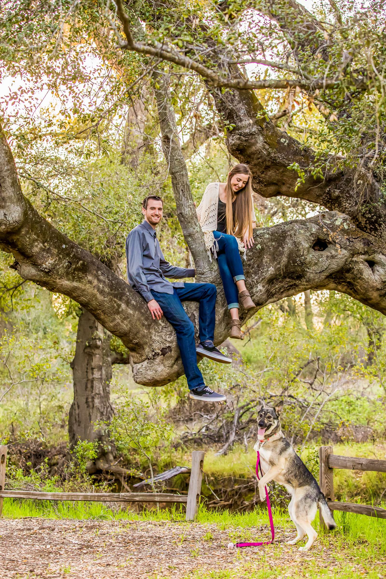 Engagement, Kasaundra and Josh Engagement Photo #66 by True Photography