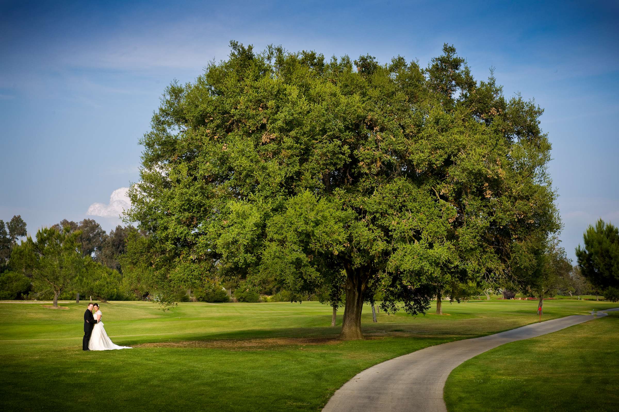 Temecula Creek Inn Wedding coordinated by The Socialites, Stefani and James Wedding Photo #7327 by True Photography