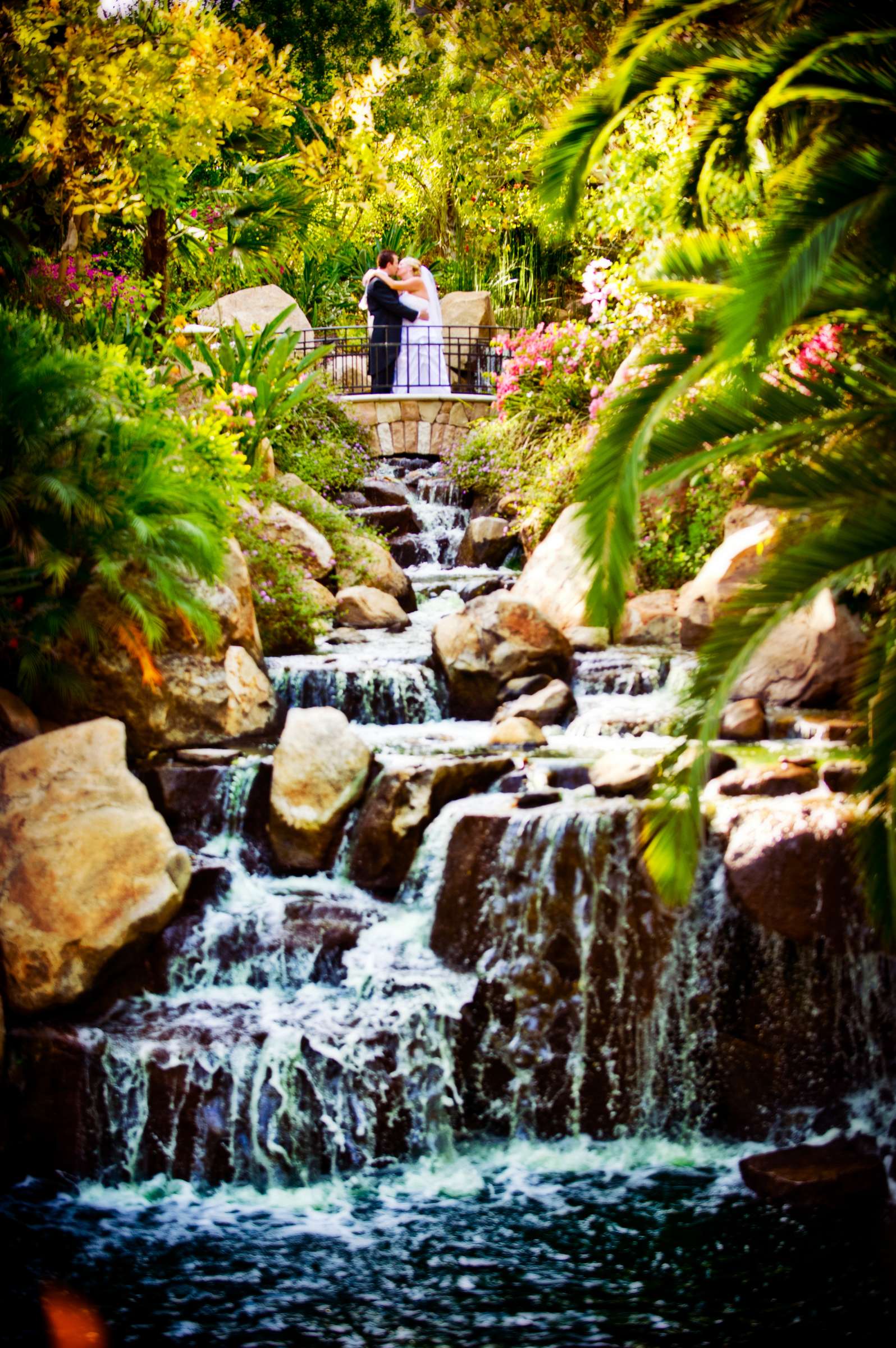Tropical at Grand Tradition Estate Wedding coordinated by Grand Tradition Estate, Christine and Christopher Wedding Photo #3 by True Photography
