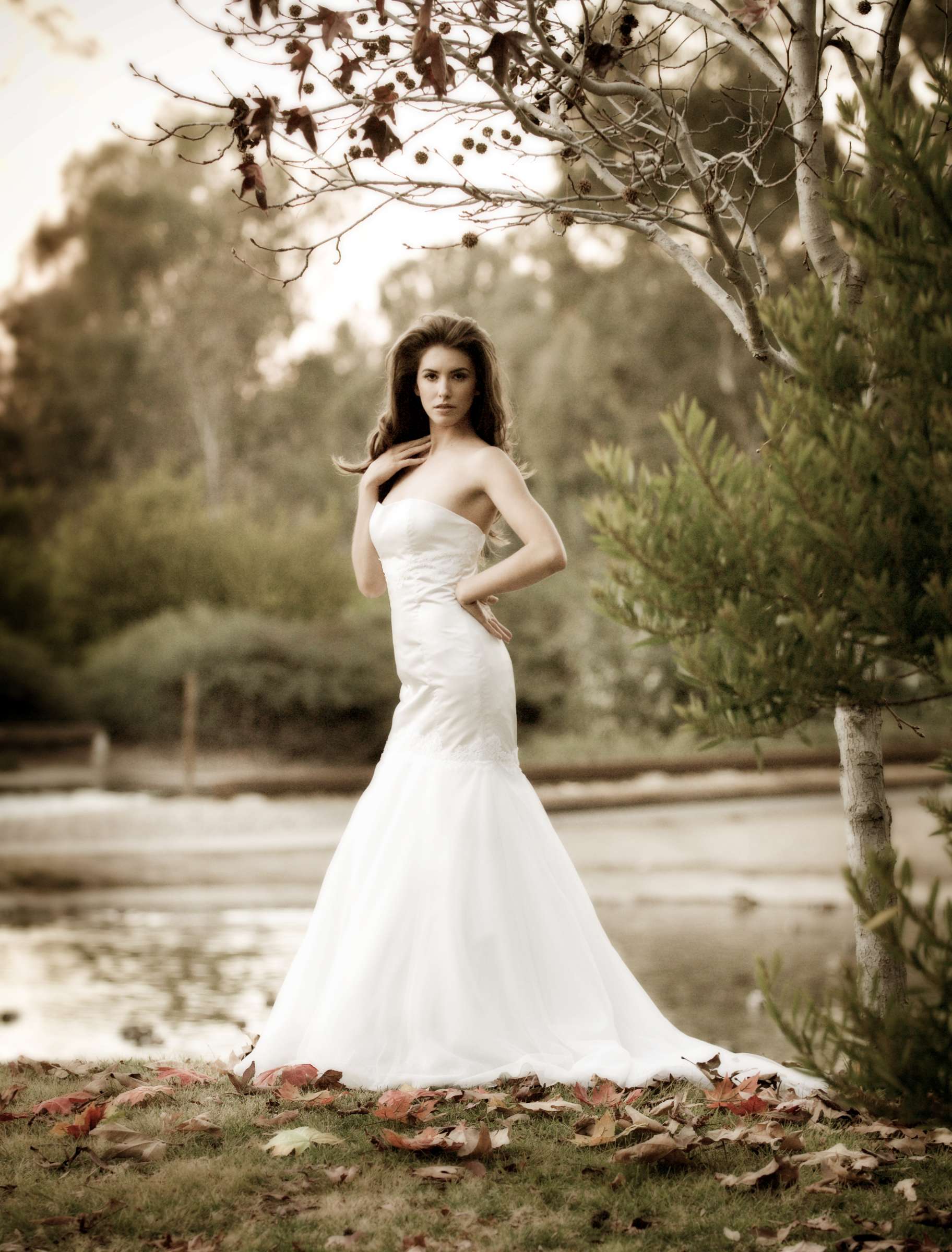 Fashion at Wedding, Pretty Dresses Wedding Photo #13 by True Photography