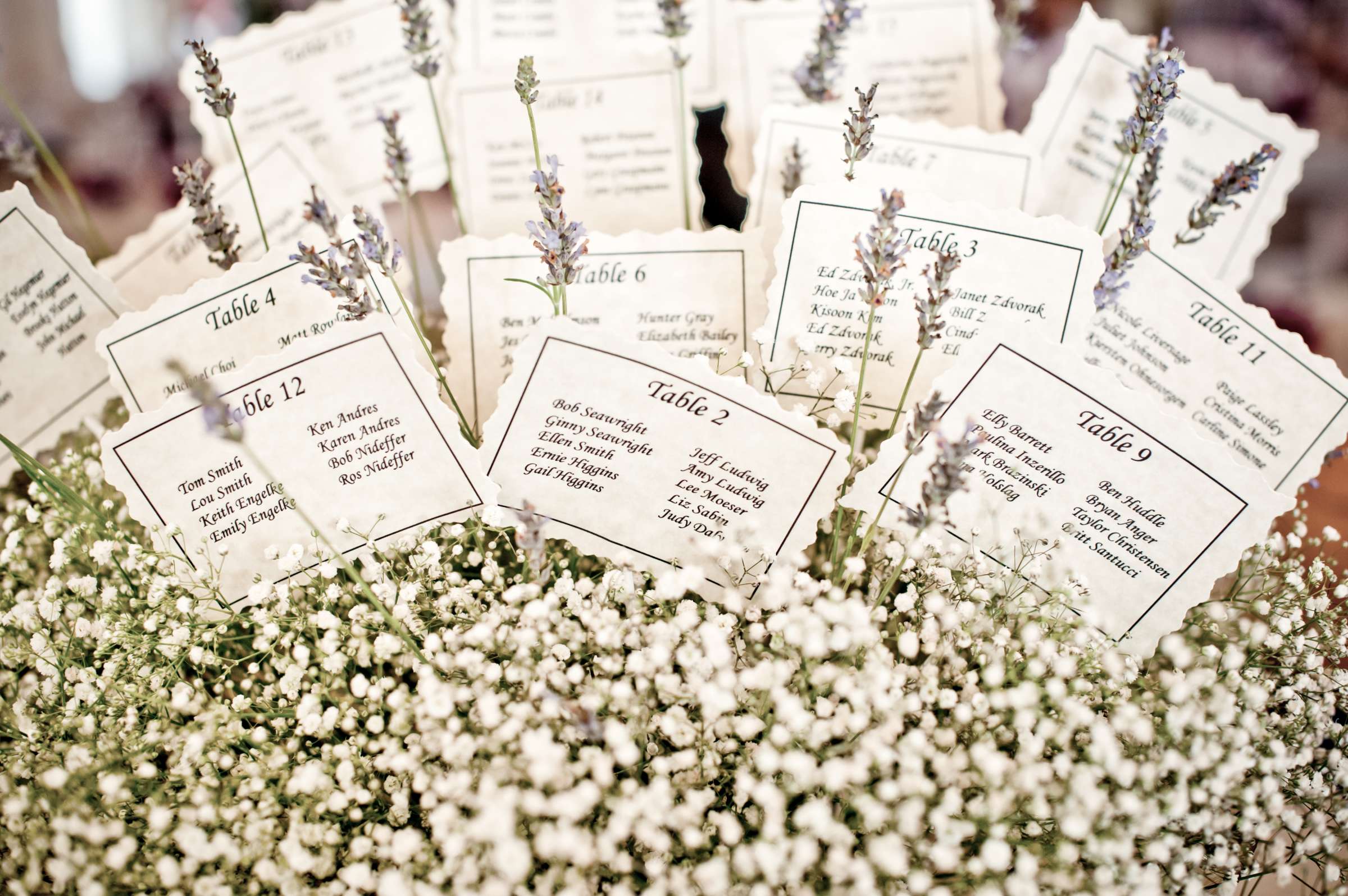 Name Cards at Wedding, Kendall and David Wedding Photo #51161 by True Photography