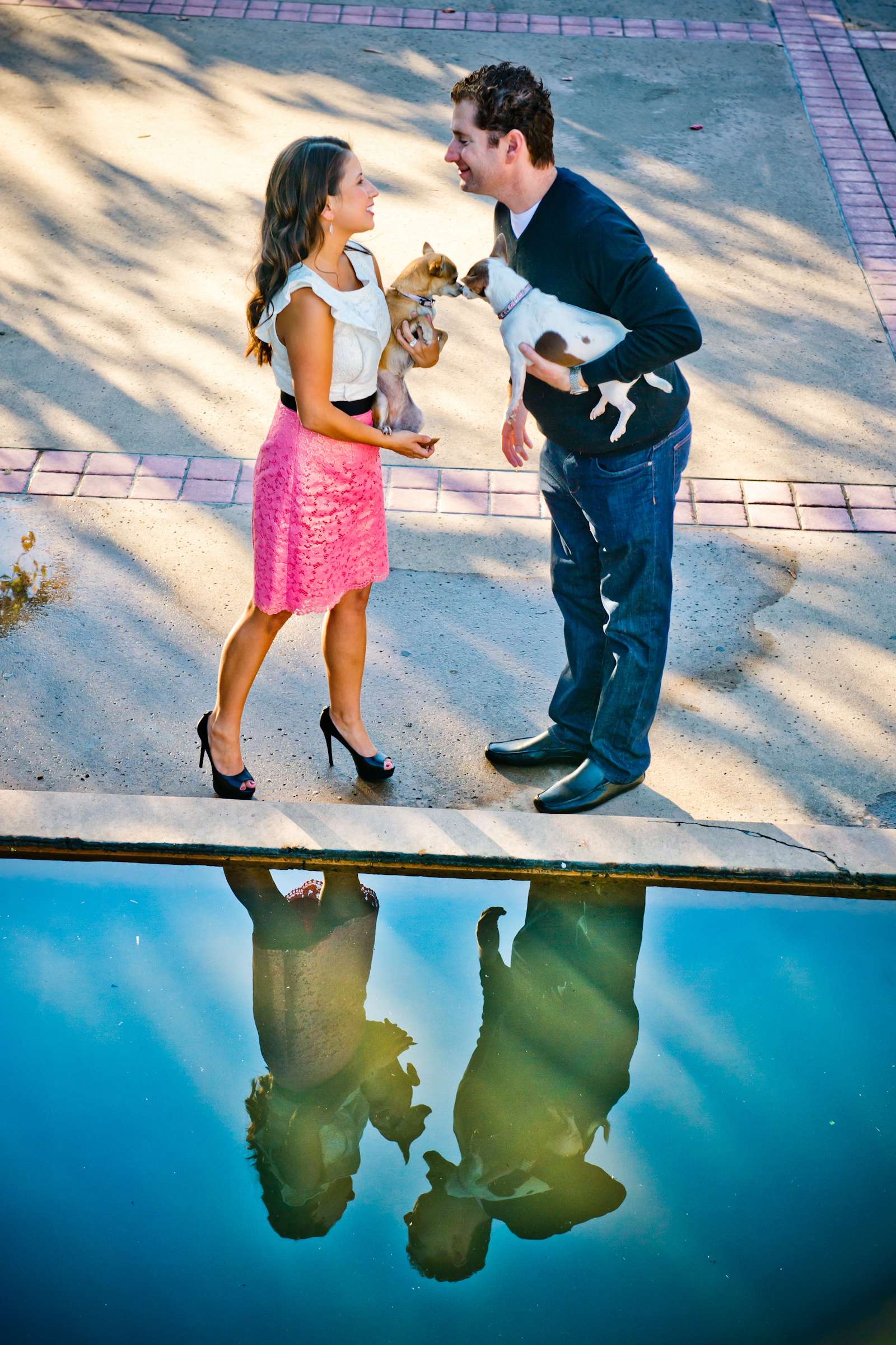 Wedding, Cute Dogs Wedding Photo #8 by True Photography