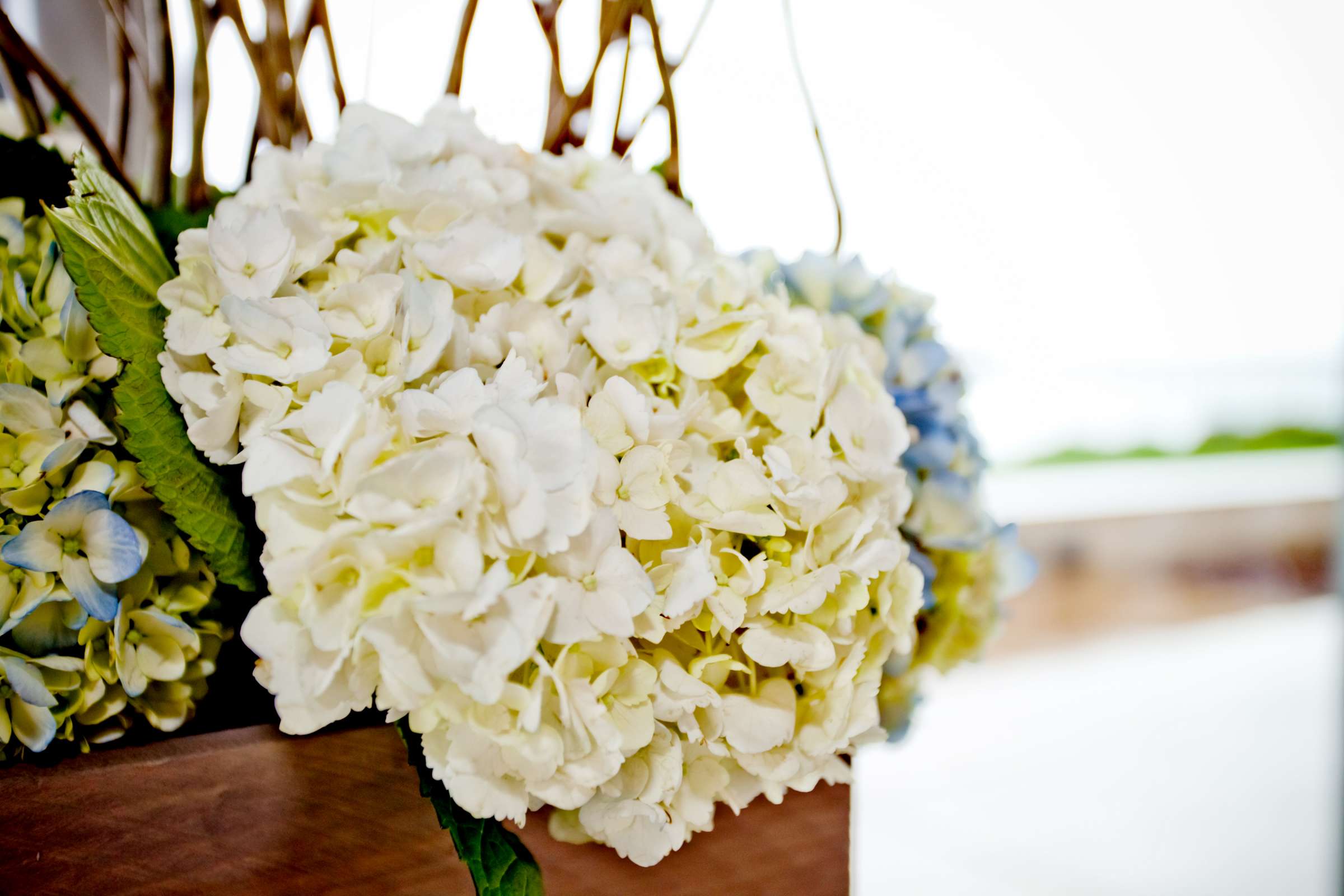 Scripps Seaside Forum Wedding coordinated by I Do Weddings, Lydia and Olin Wedding Photo #87234 by True Photography