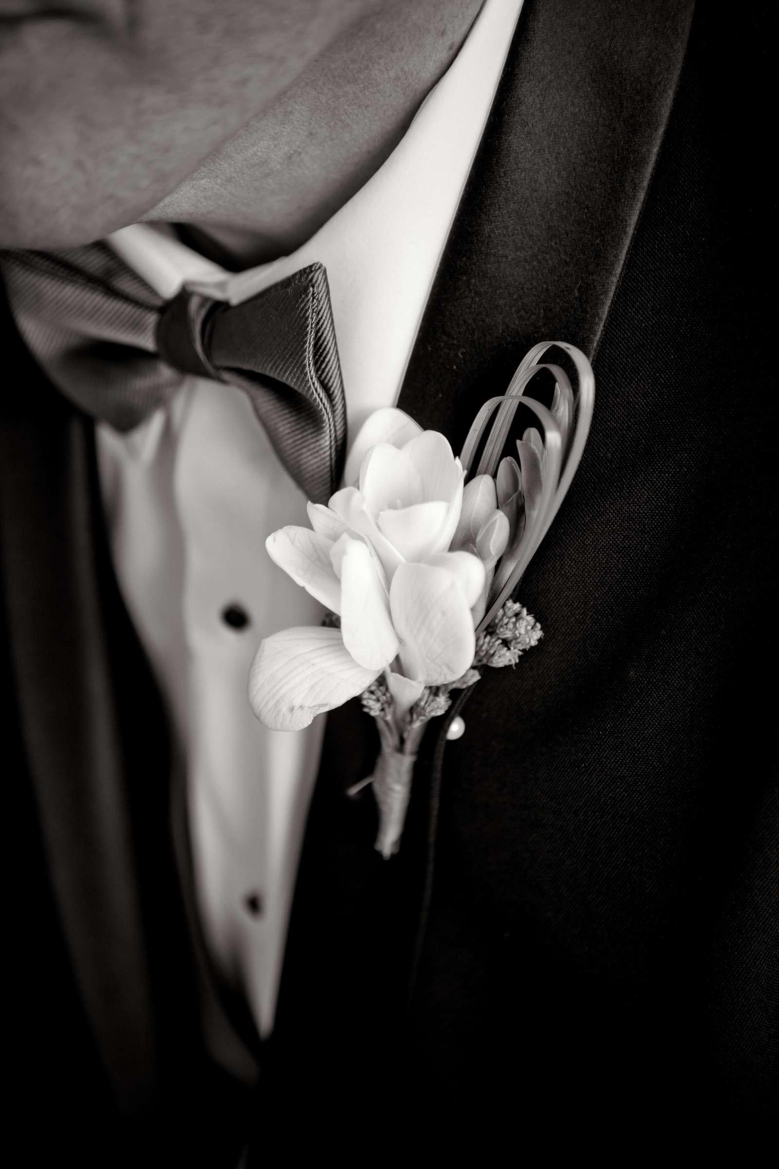boutonnière at Ponte Estate Winery Wedding, Aleida and Bob Wedding Photo #113608 by True Photography