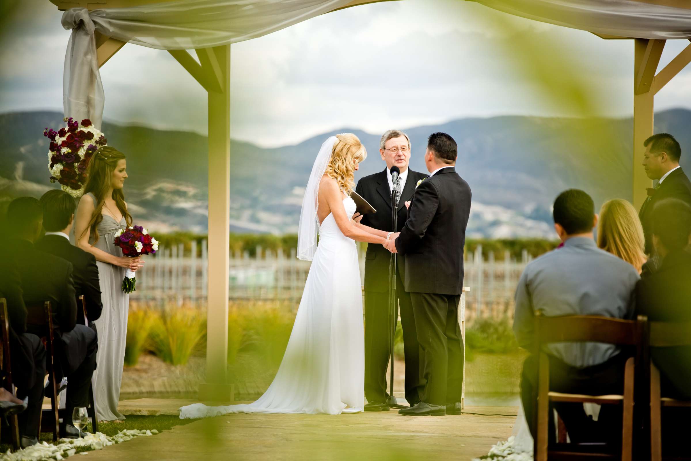 Ponte Estate Winery Wedding, Aleida and Bob Wedding Photo #113620 by True Photography