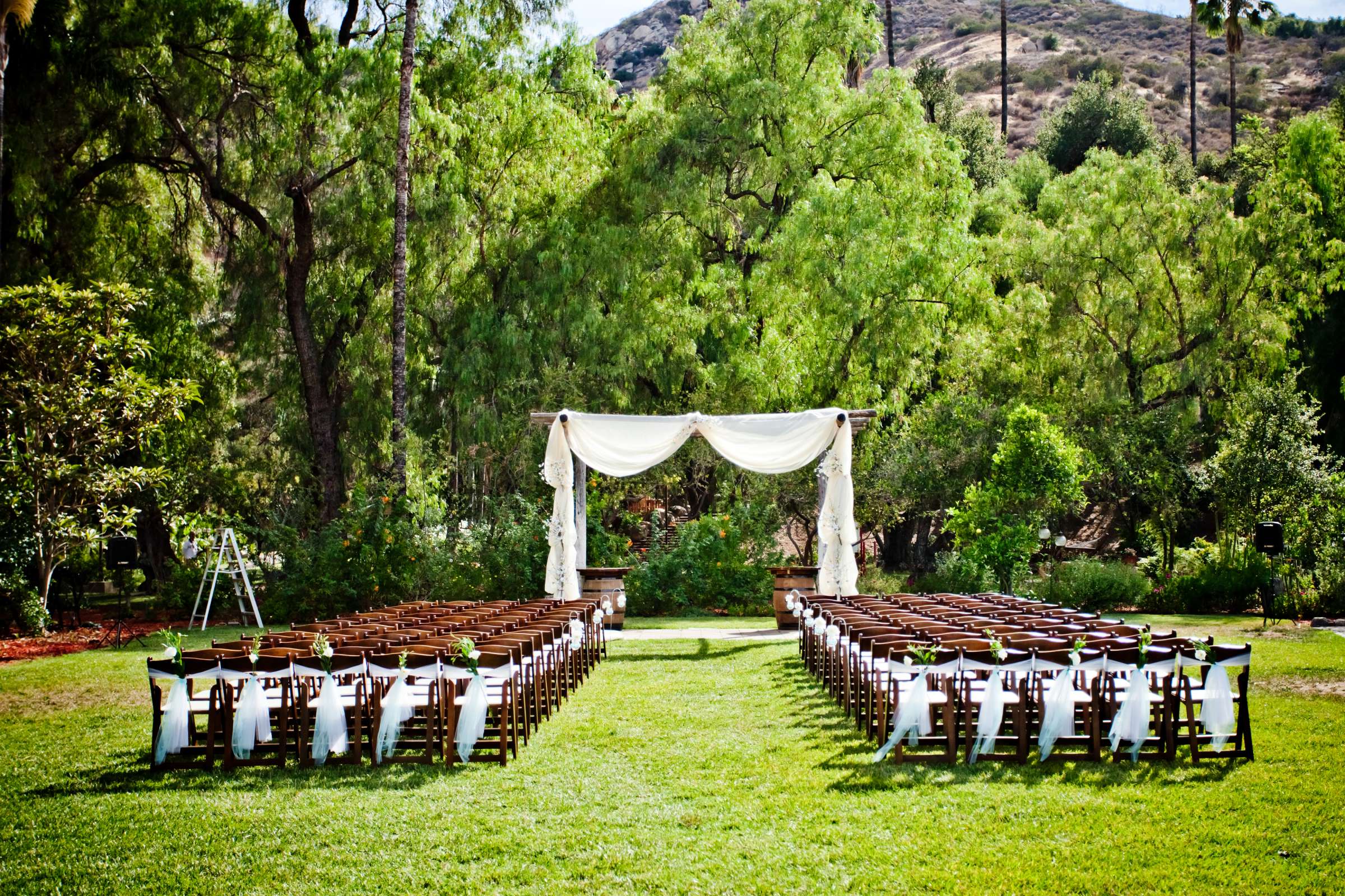 The Ranch at Bandy Canyon Wedding, Amy and Bryan Wedding Photo #67 by True Photography