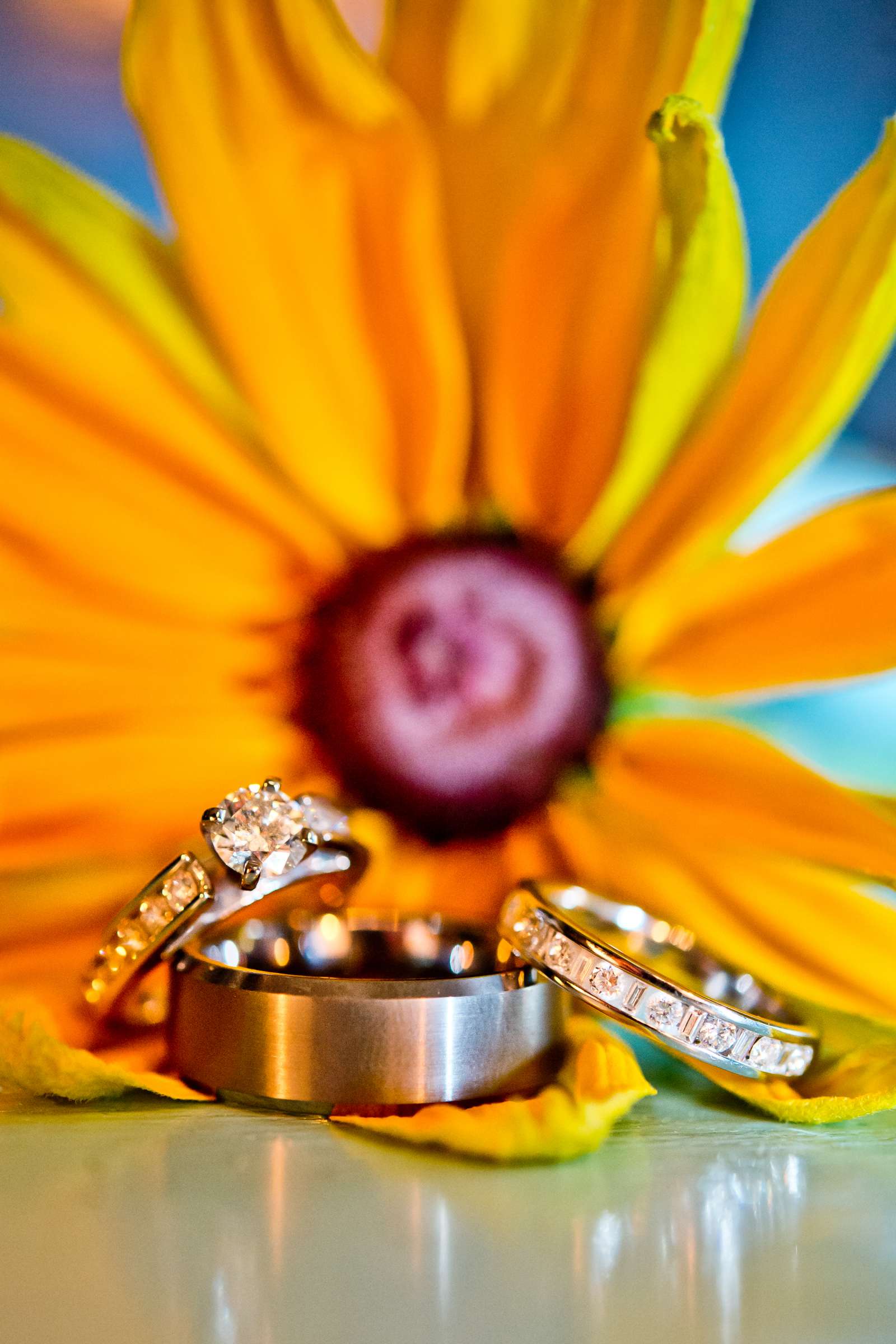Rings at The Manor House Wedding, Kelly and Josh Wedding Photo #125929 by True Photography