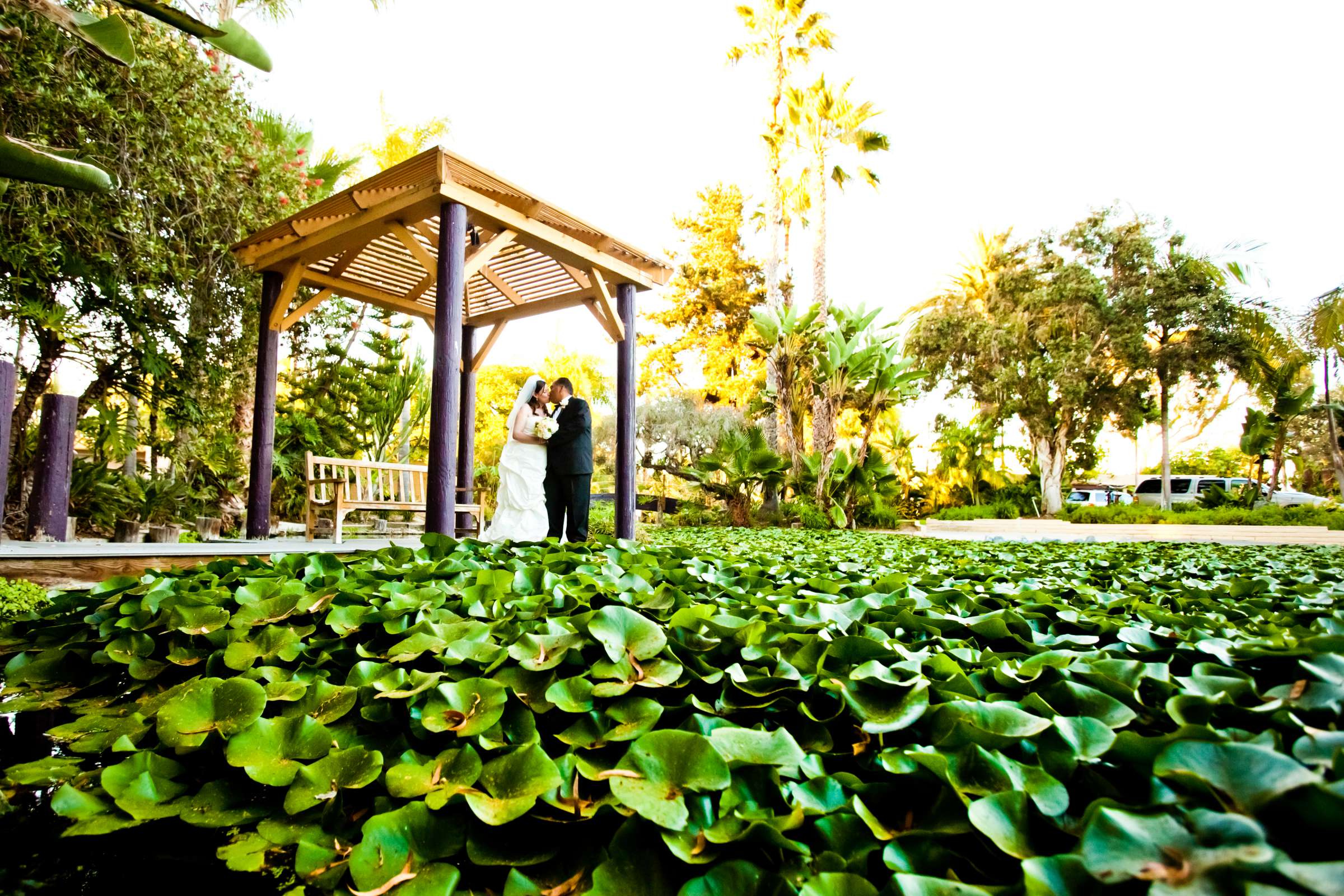 Paradise Point Wedding coordinated by I Do Weddings, Tiffany and Brian Wedding Photo #128261 by True Photography