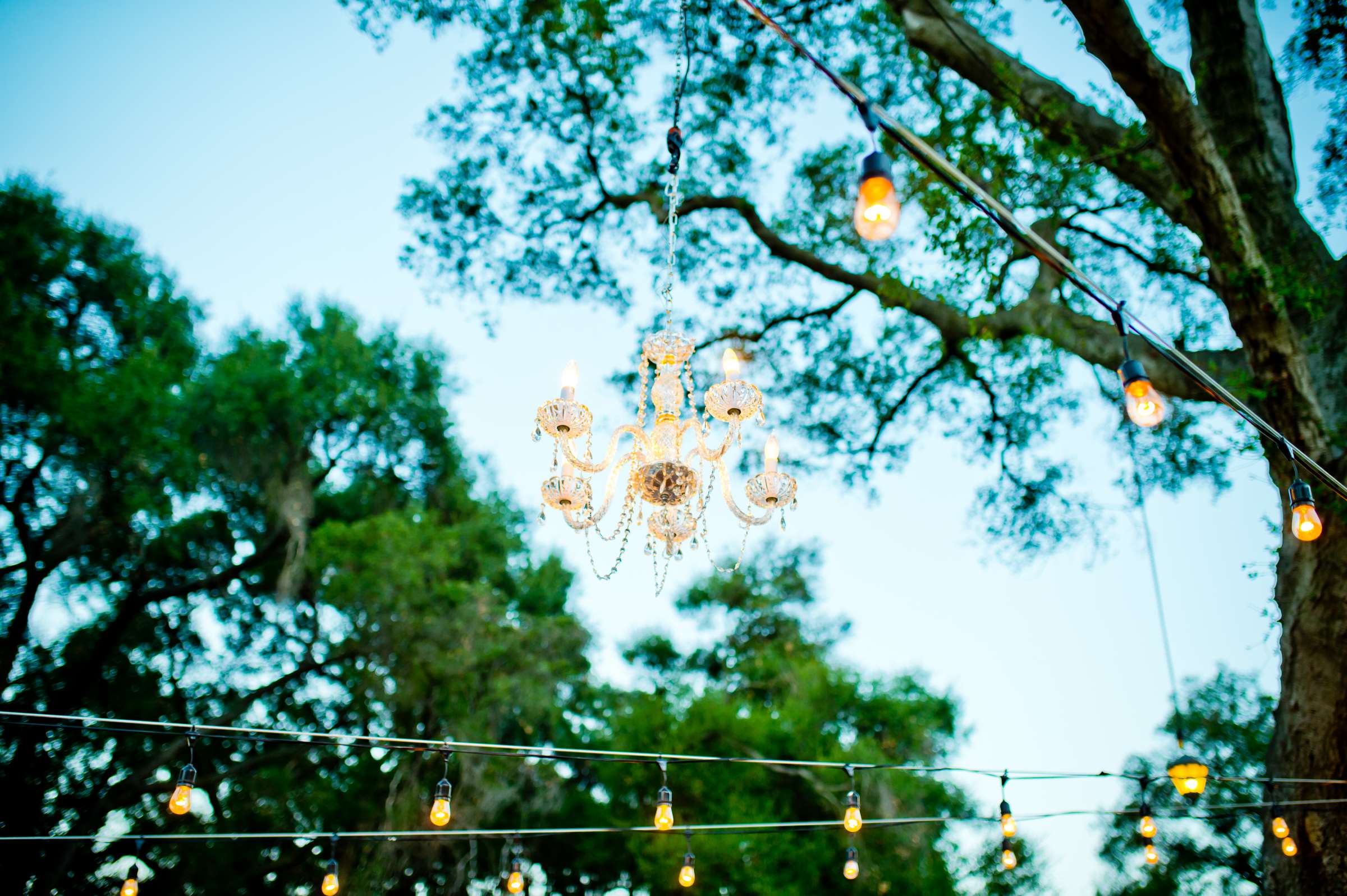 Temecula Creek Inn Wedding coordinated by LexxEvents, Mariah and Phillip Wedding Photo #97 by True Photography