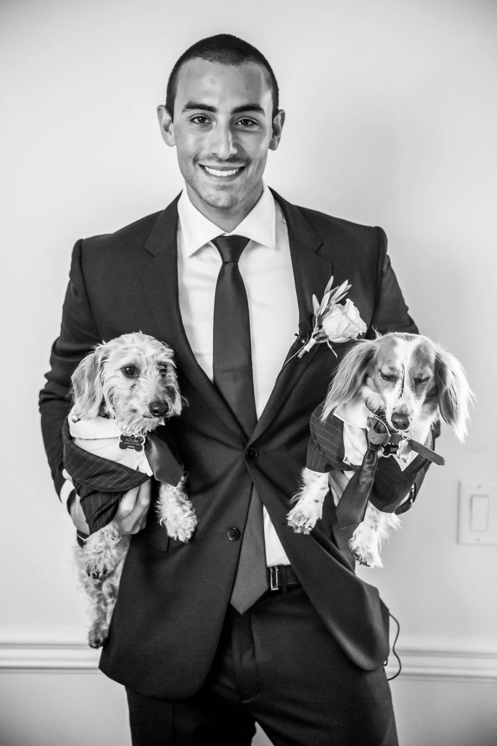 Pets at Paradise Point Wedding coordinated by Create Events, Adriana and Cory Wedding Photo #5 by True Photography