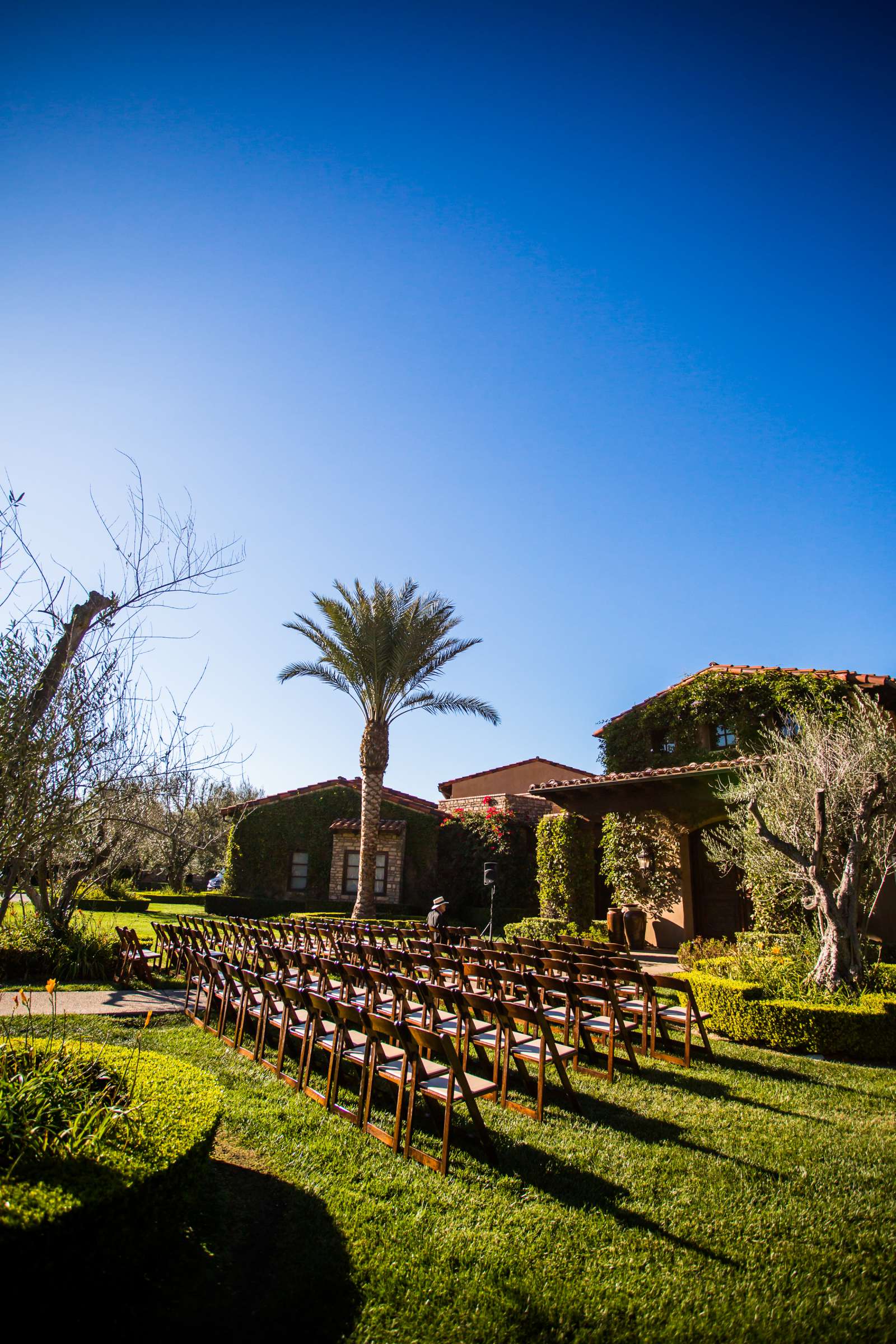 Las Olivas Estates Wedding coordinated by Anchored By Love, Ashley and Jeffery Wedding Photo #125 by True Photography