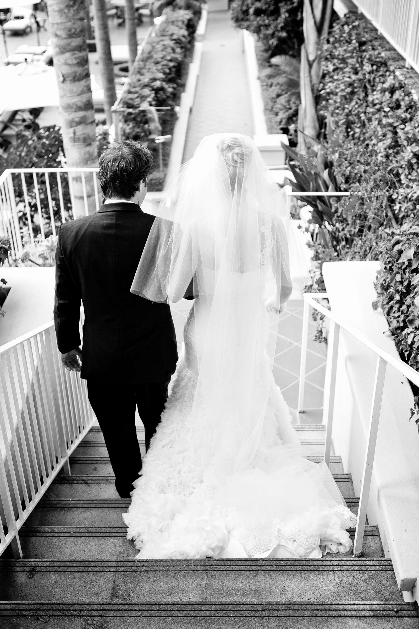 Wedding, Julia and Jeffrey Wedding Photo #201213 by True Photography