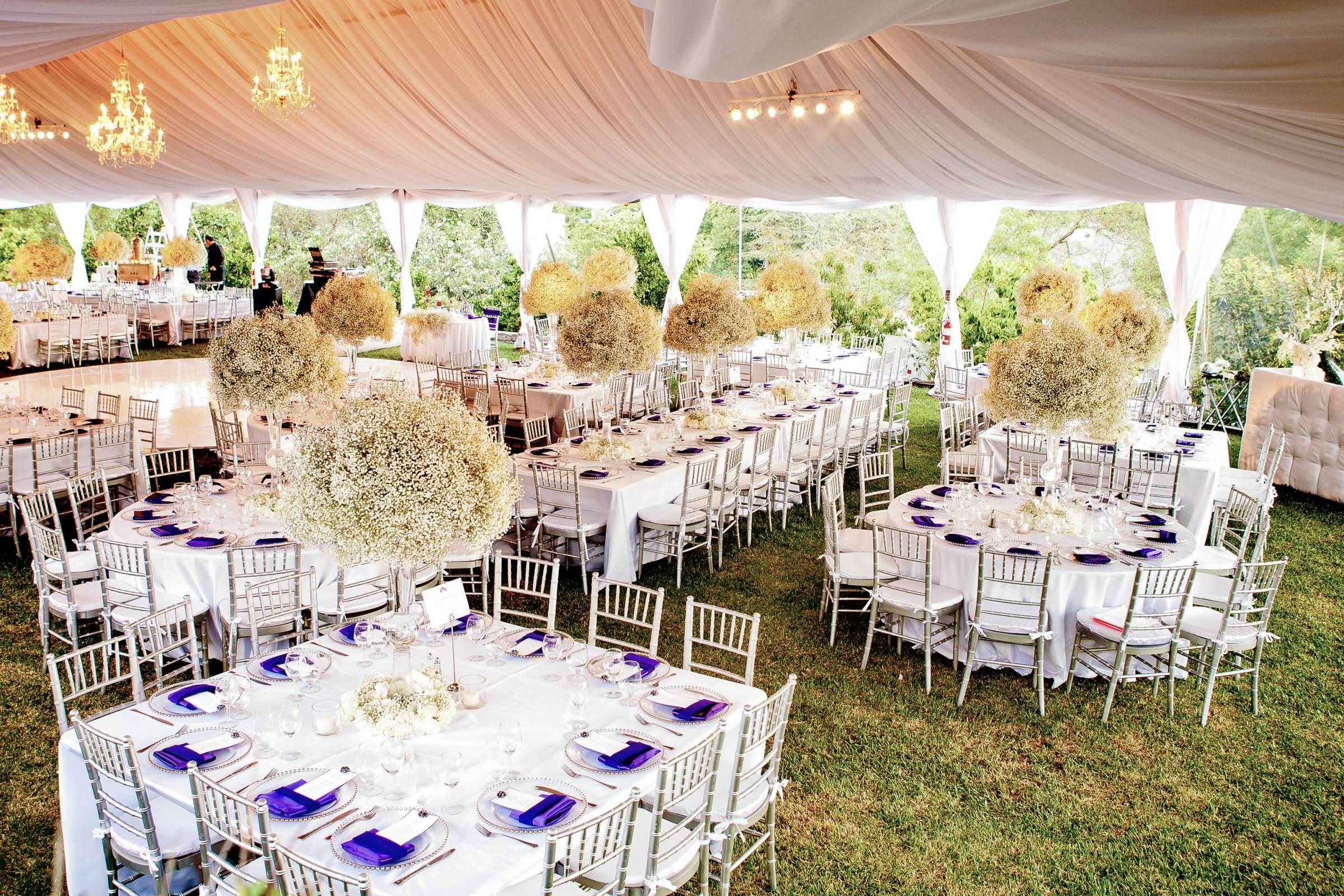 Tented Event at Wedding, Sarah and Thomas Wedding Photo #68 by True Photography