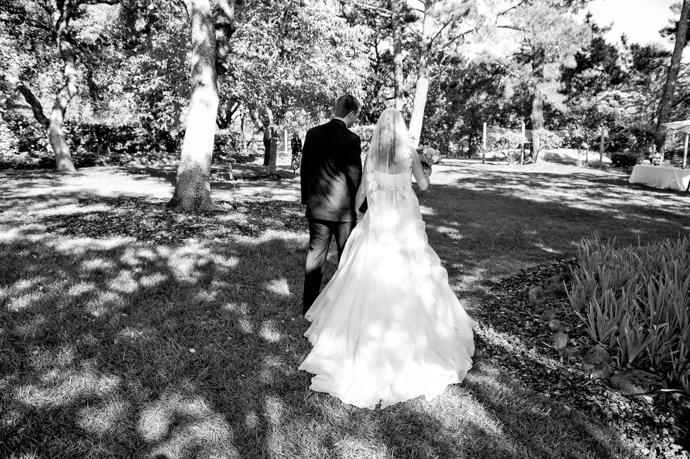 Wedding, Katie and Matt Wedding Photo #206071 by True Photography