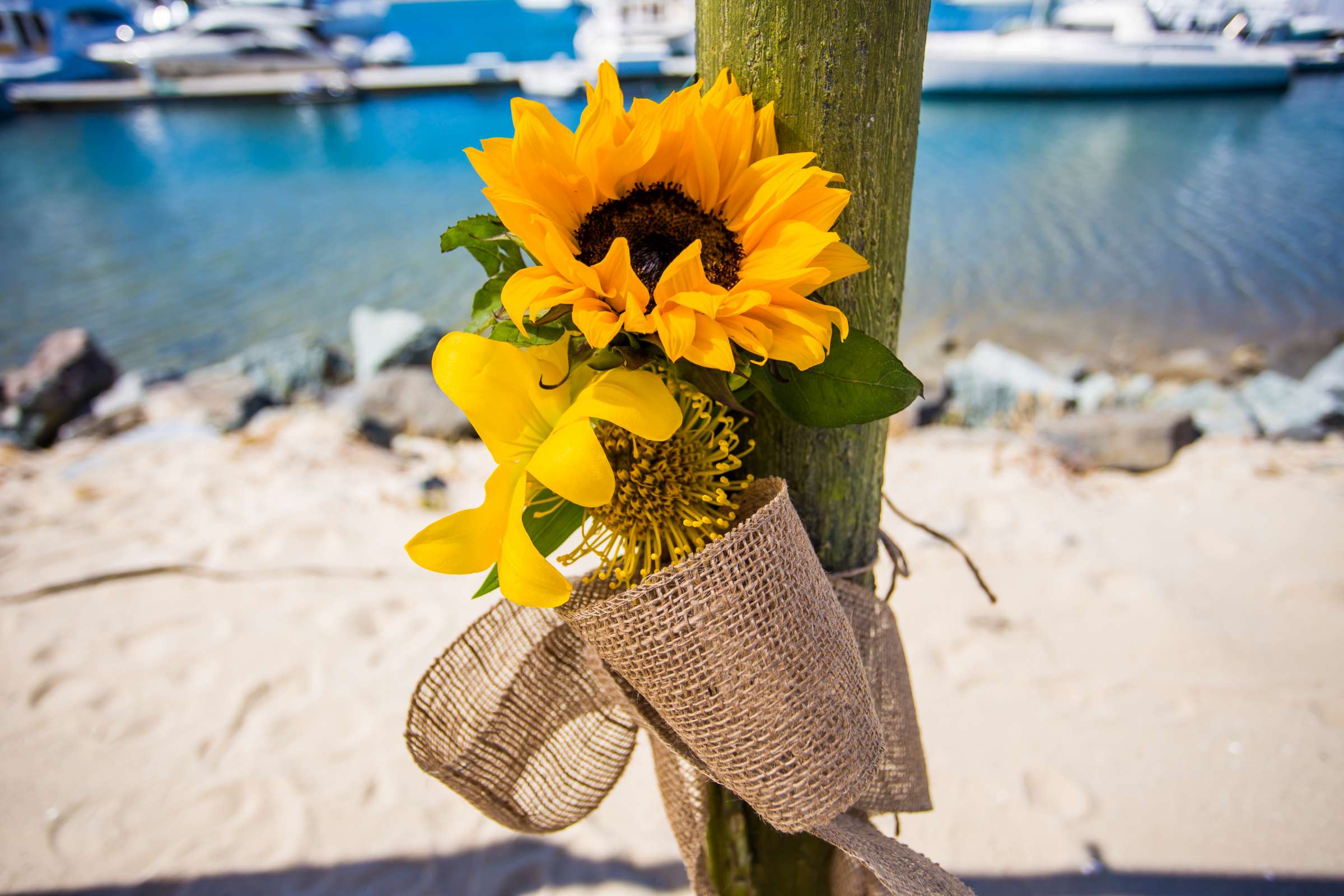 Kona Kai Resort Wedding coordinated by Bliss Events, Kelly and Mateo Wedding Photo #219388 by True Photography