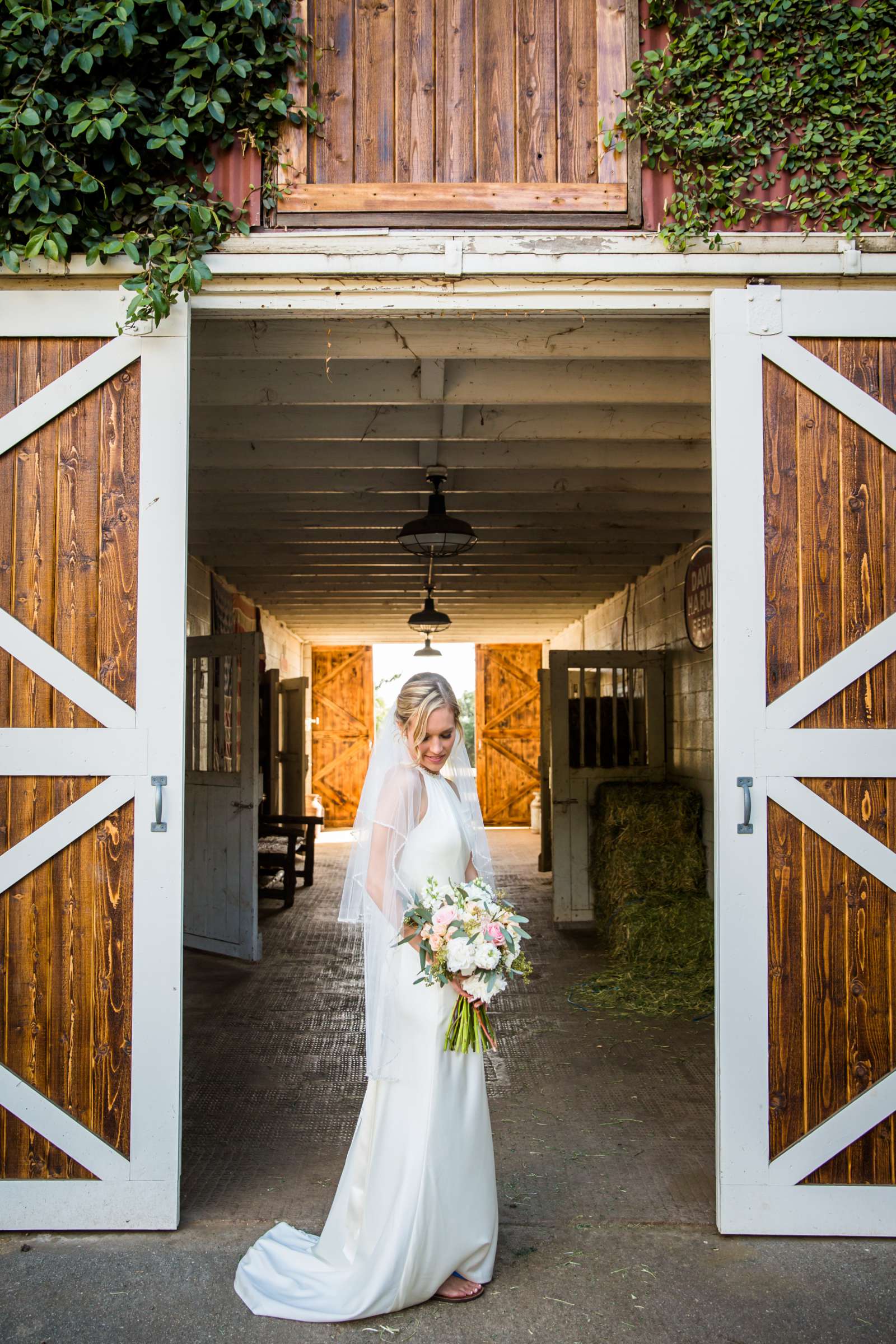 Condors Nest Ranch Wedding, Allison and Justin Wedding Photo #54 by True Photography