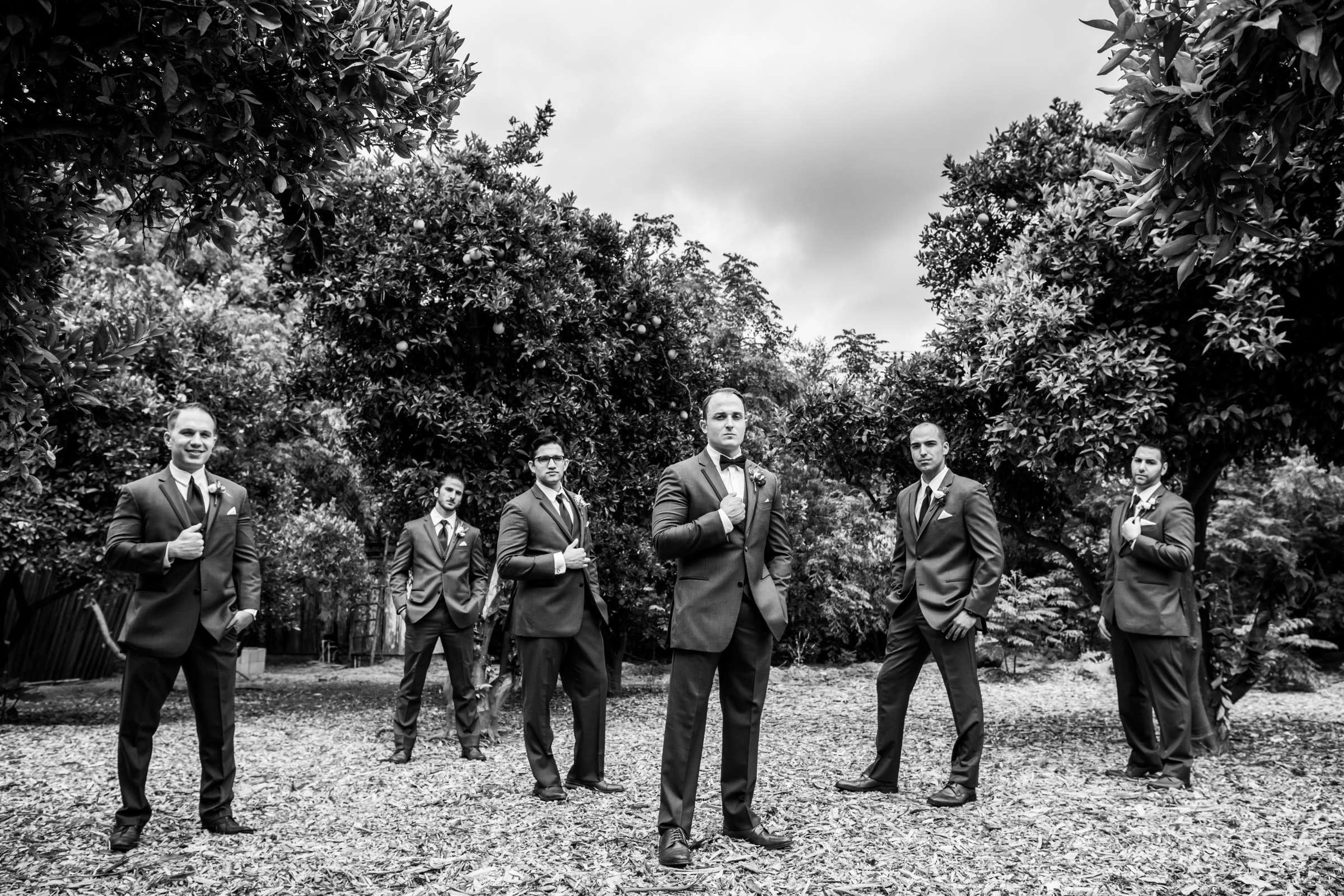Twin Oaks House & Gardens Wedding Estate Wedding, Tiarah and Anthony Wedding Photo #37 by True Photography