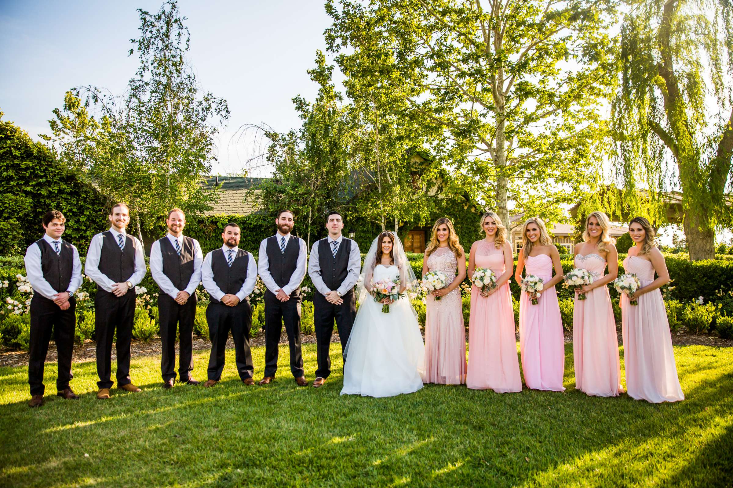 Ponte Estate Winery Wedding coordinated by Seven Stems Floral Design & Events, Jennifer and Justin Wedding Photo #93 by True Photography