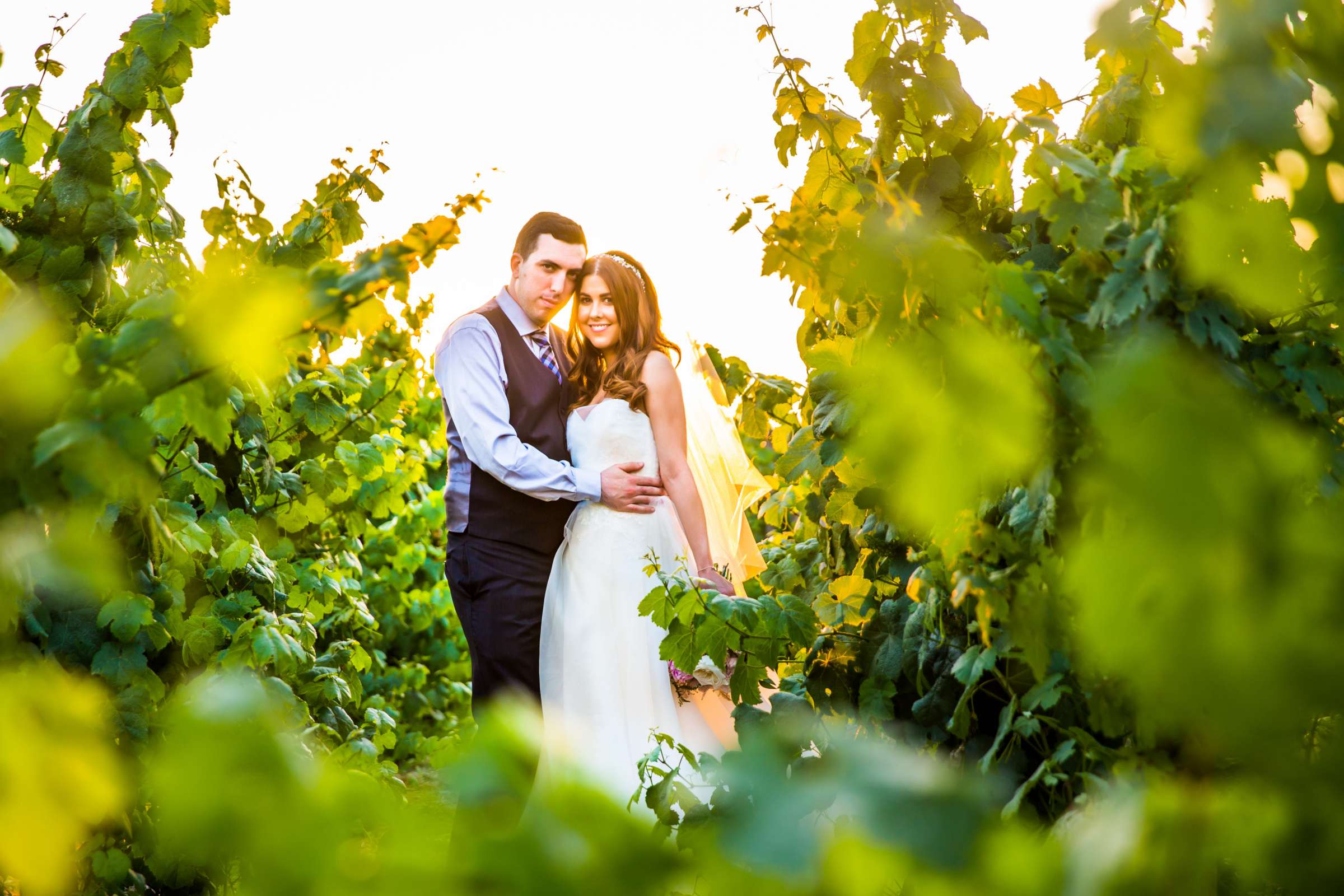 Green colors, Winery at Ponte Estate Winery Wedding coordinated by Seven Stems Floral Design & Events, Jennifer and Justin Wedding Photo #9 by True Photography