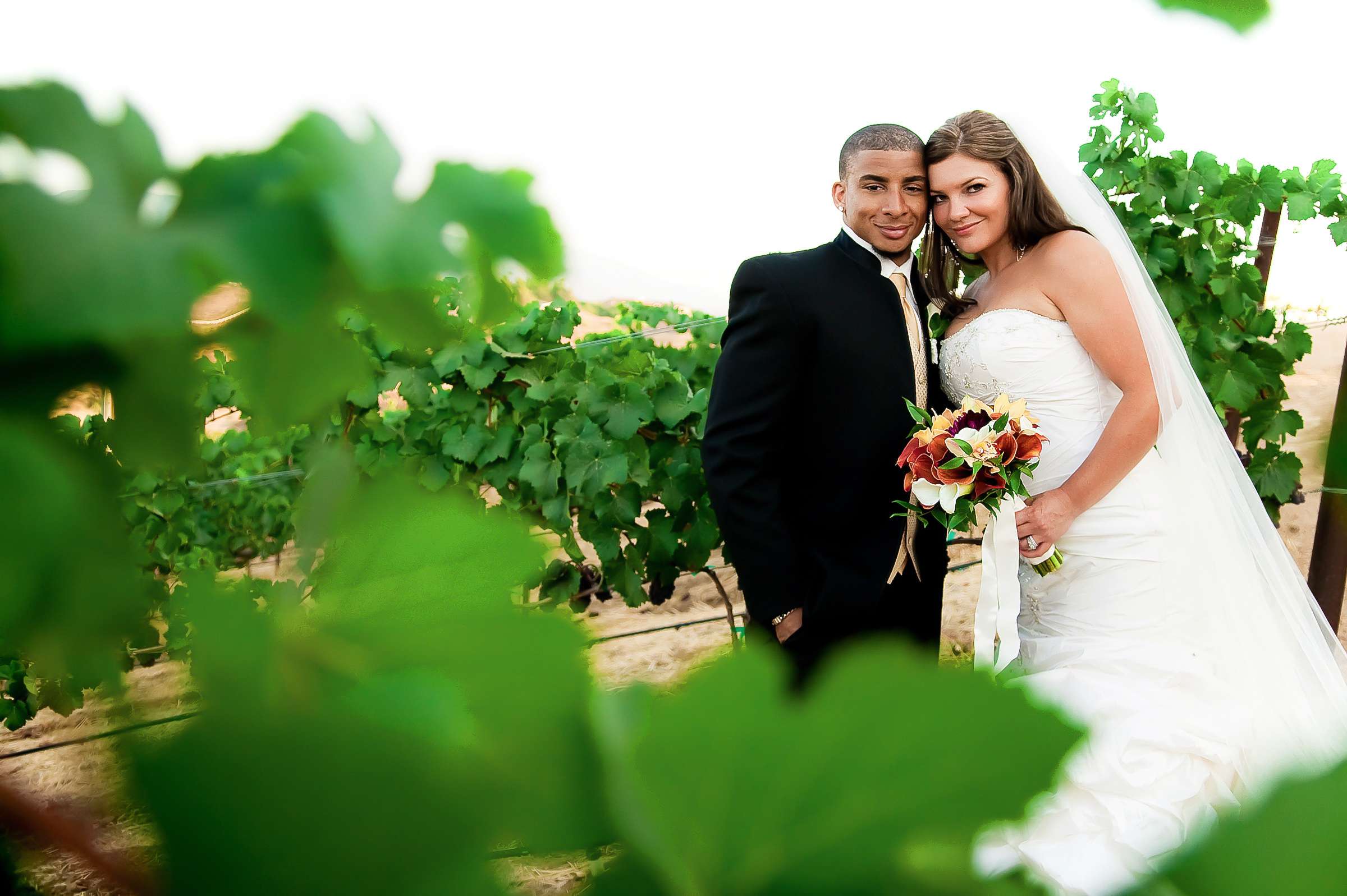 South Coast Winery Wedding, Brooke and Jamaal Wedding Photo #5 by True Photography