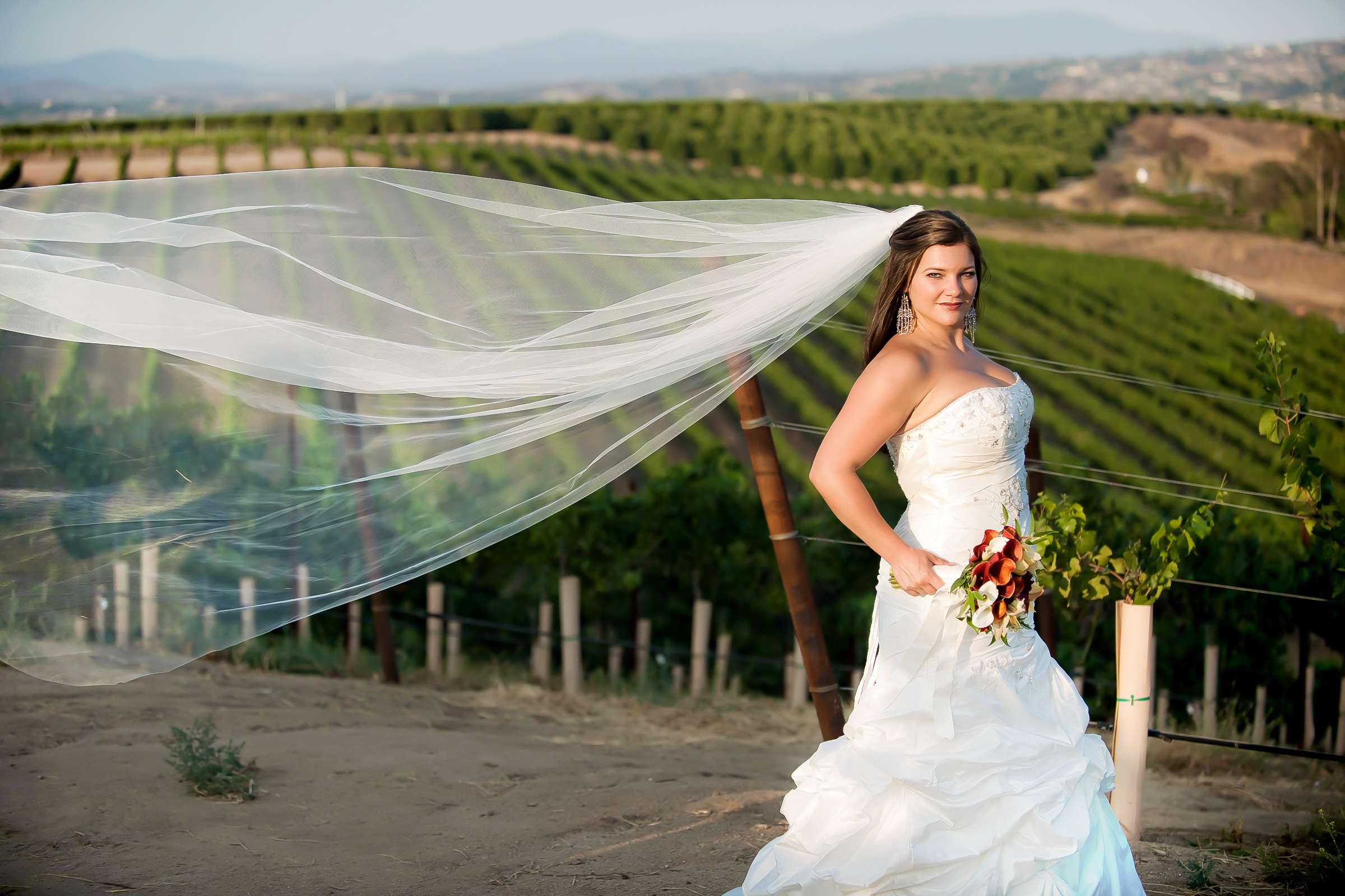 South Coast Winery Wedding, Brooke and Jamaal Wedding Photo #23 by True Photography