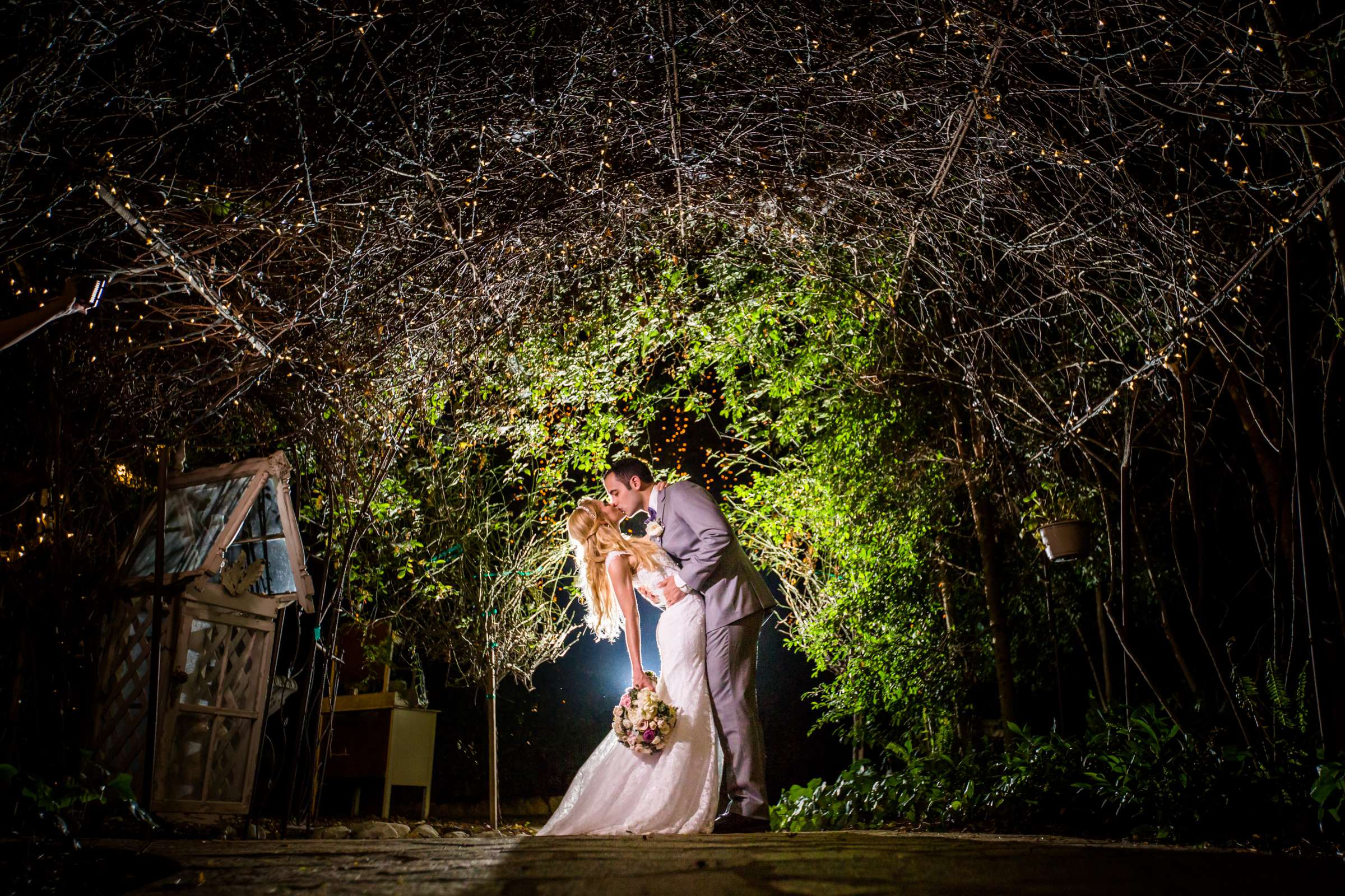 Night Shot at Twin Oaks House & Gardens Wedding Estate Wedding, Laura Anne and Neema Wedding Photo #236175 by True Photography