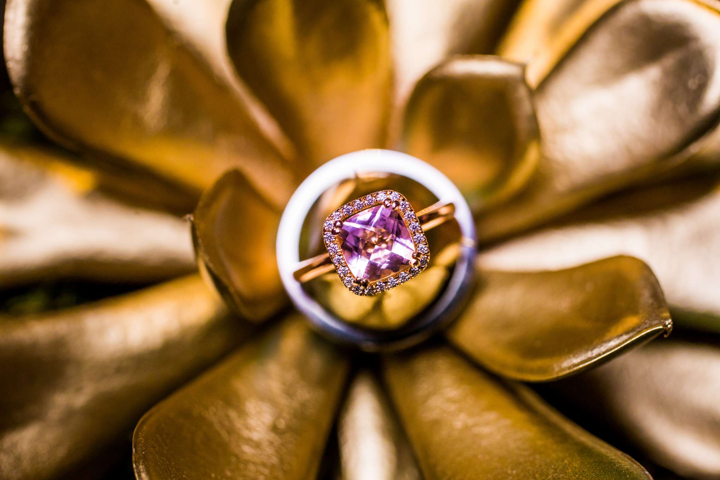 Gold colors, Purple colors, Rings at San Diego Museum of Art Wedding coordinated by First Comes Love Weddings & Events, Ruthie and Larry Wedding Photo #236761 by True Photography