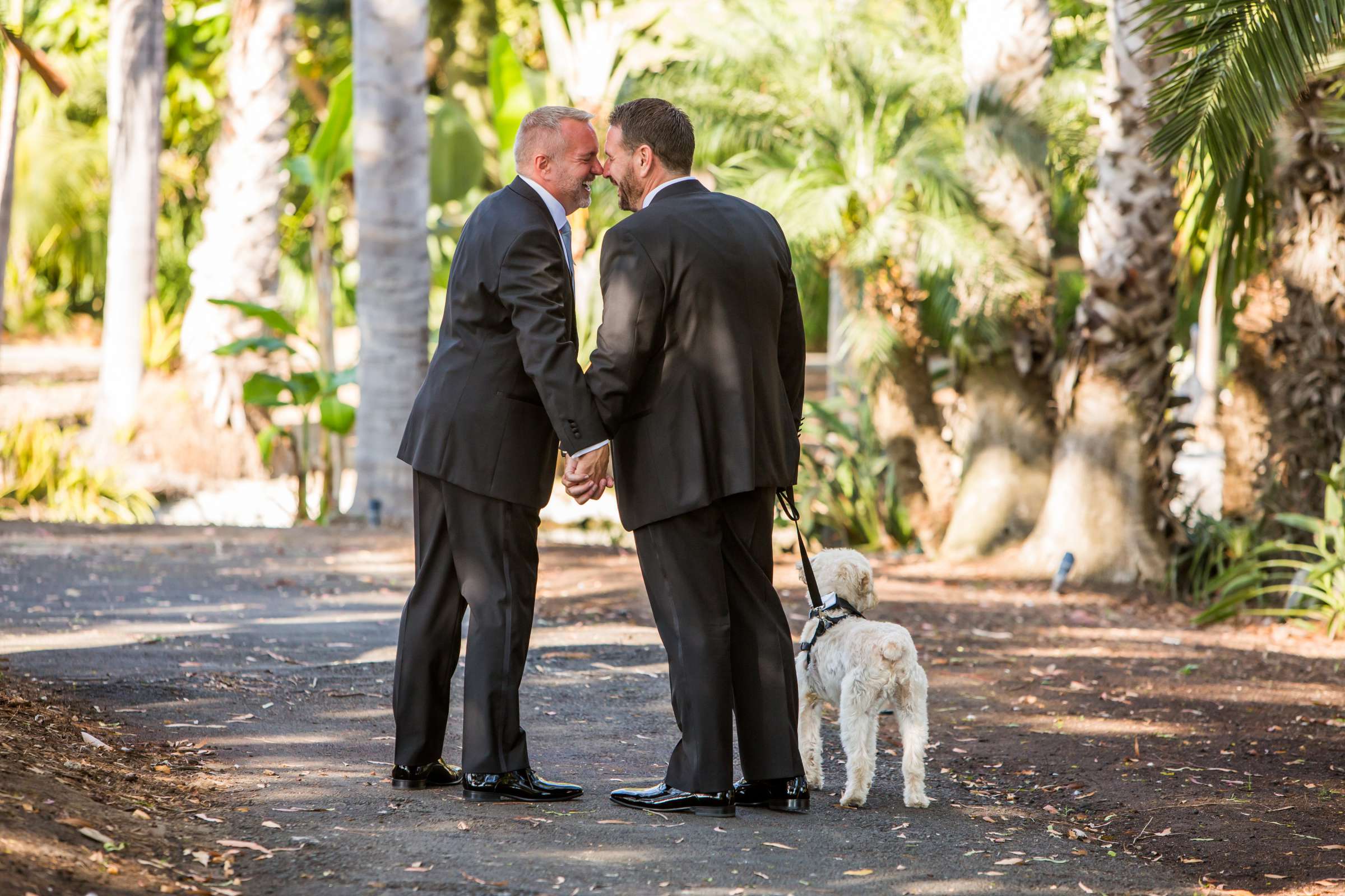 Paradise Point Wedding, David and Barry Wedding Photo #262981 by True Photography