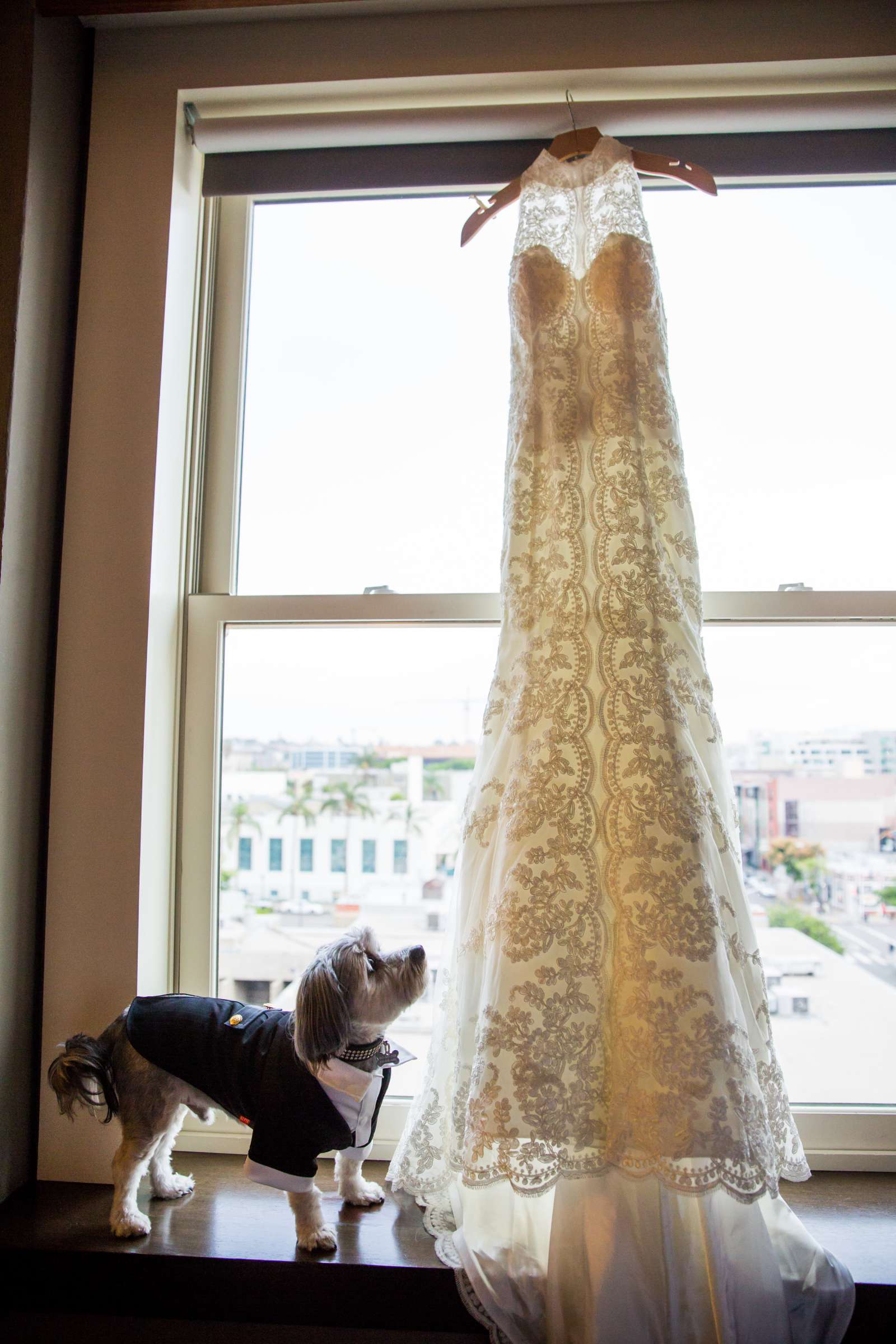 Andaz San Diego Wedding coordinated by Holly Kalkin Weddings, Sharla and Jeremy Wedding Photo #27 by True Photography