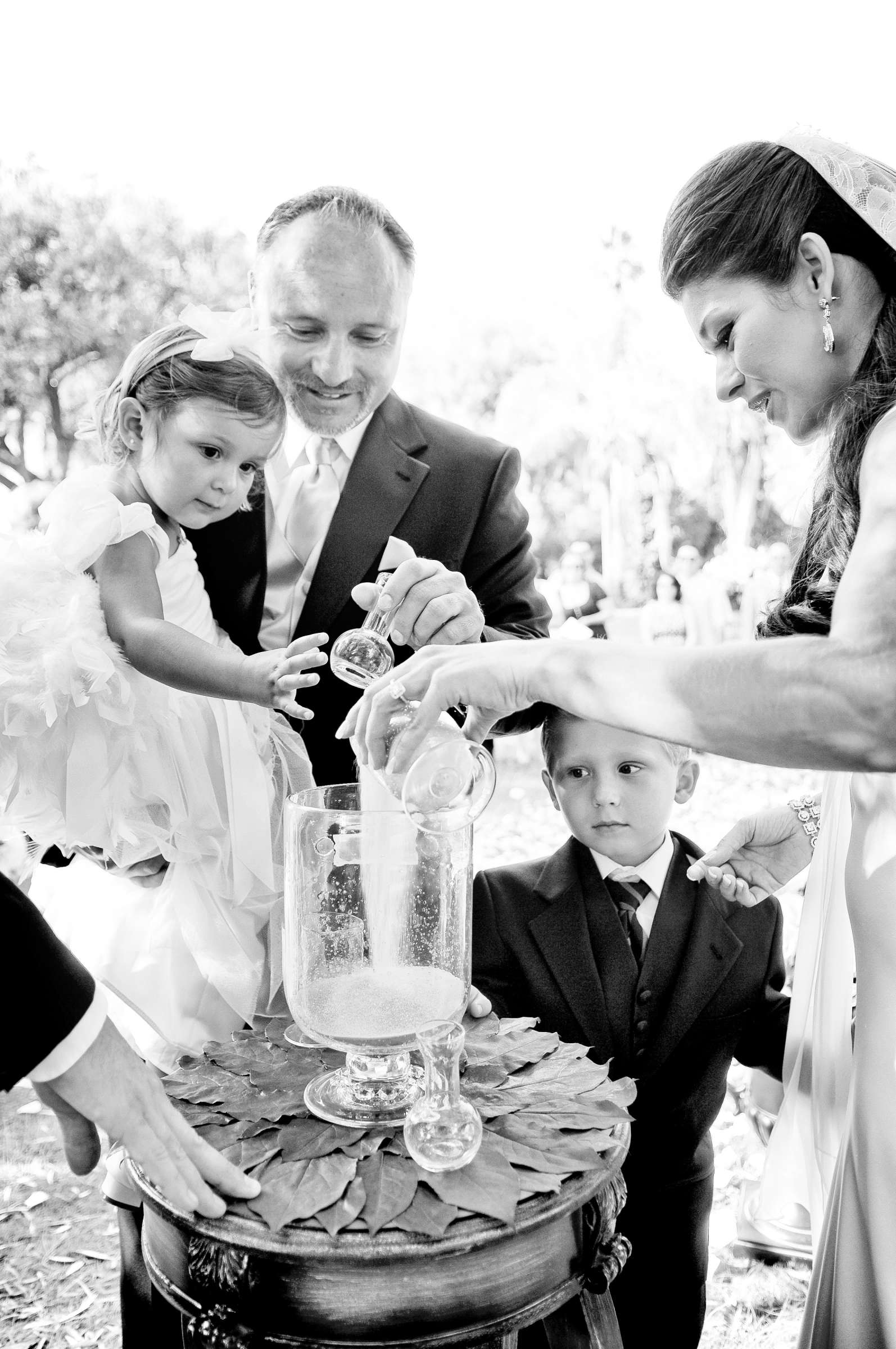 Wedding, Alanna and Jerry Wedding Photo #299481 by True Photography