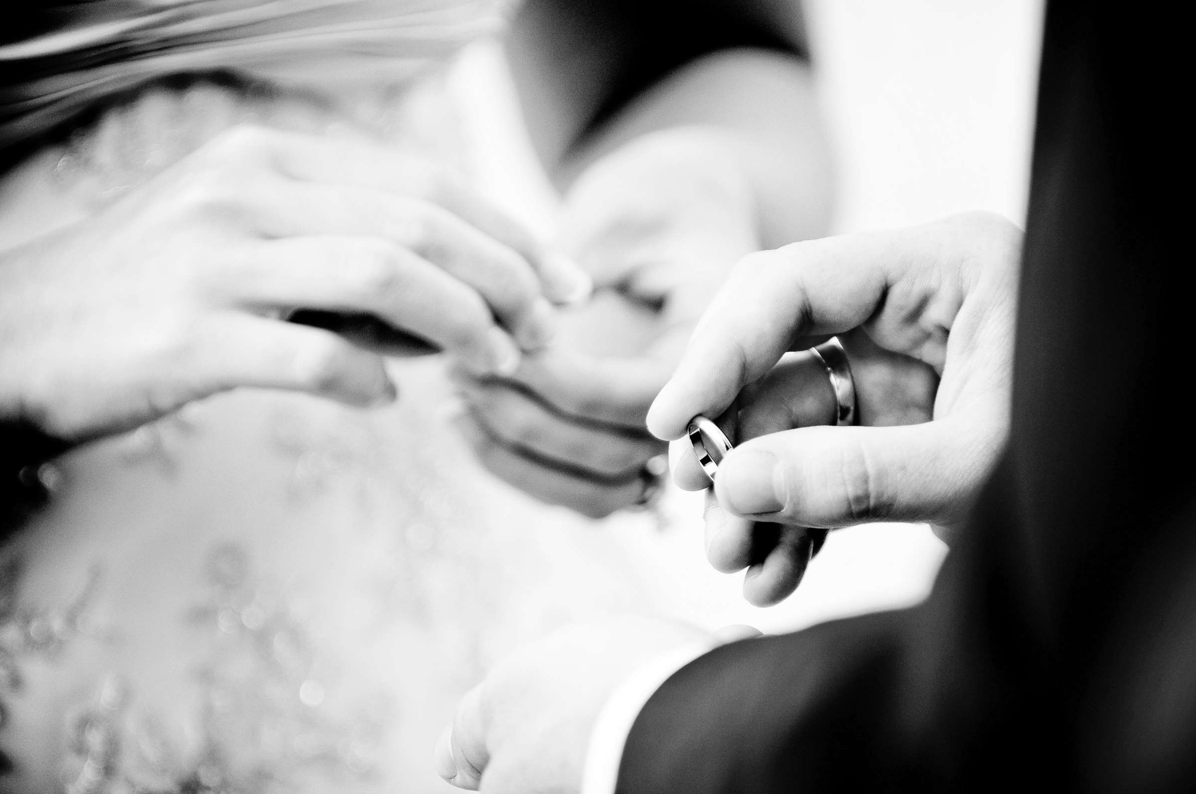 Hilton La Jolla Torrey Pines Wedding, Rachel and Jeremy Wedding Photo #299847 by True Photography