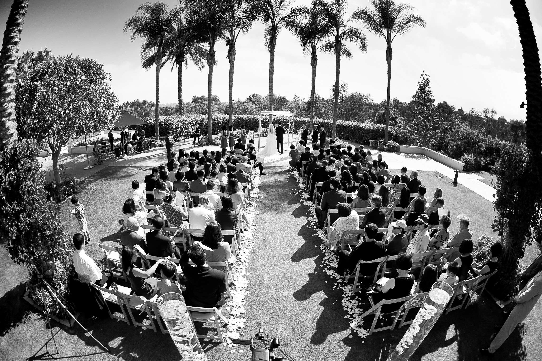 Park Hyatt Aviara Wedding coordinated by Creative Occasions, Rachel and John Wedding Photo #300700 by True Photography