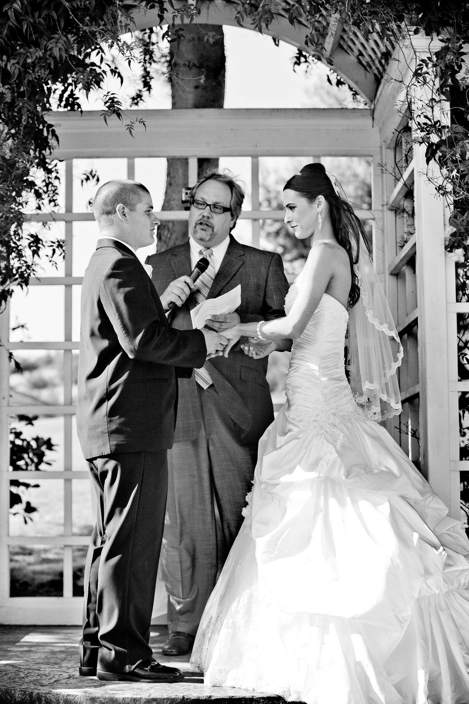 Wedding, Jennifer and Mark Wedding Photo #304267 by True Photography