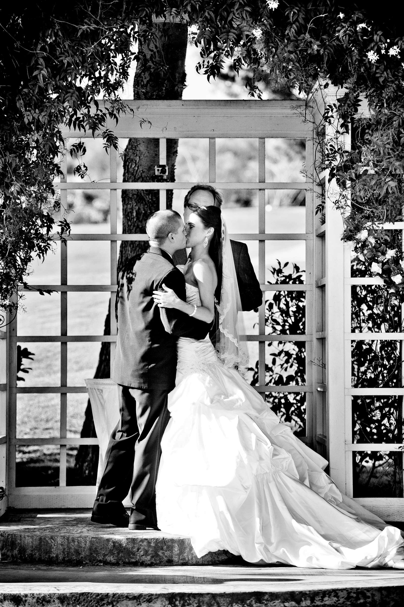 Wedding, Jennifer and Mark Wedding Photo #304269 by True Photography
