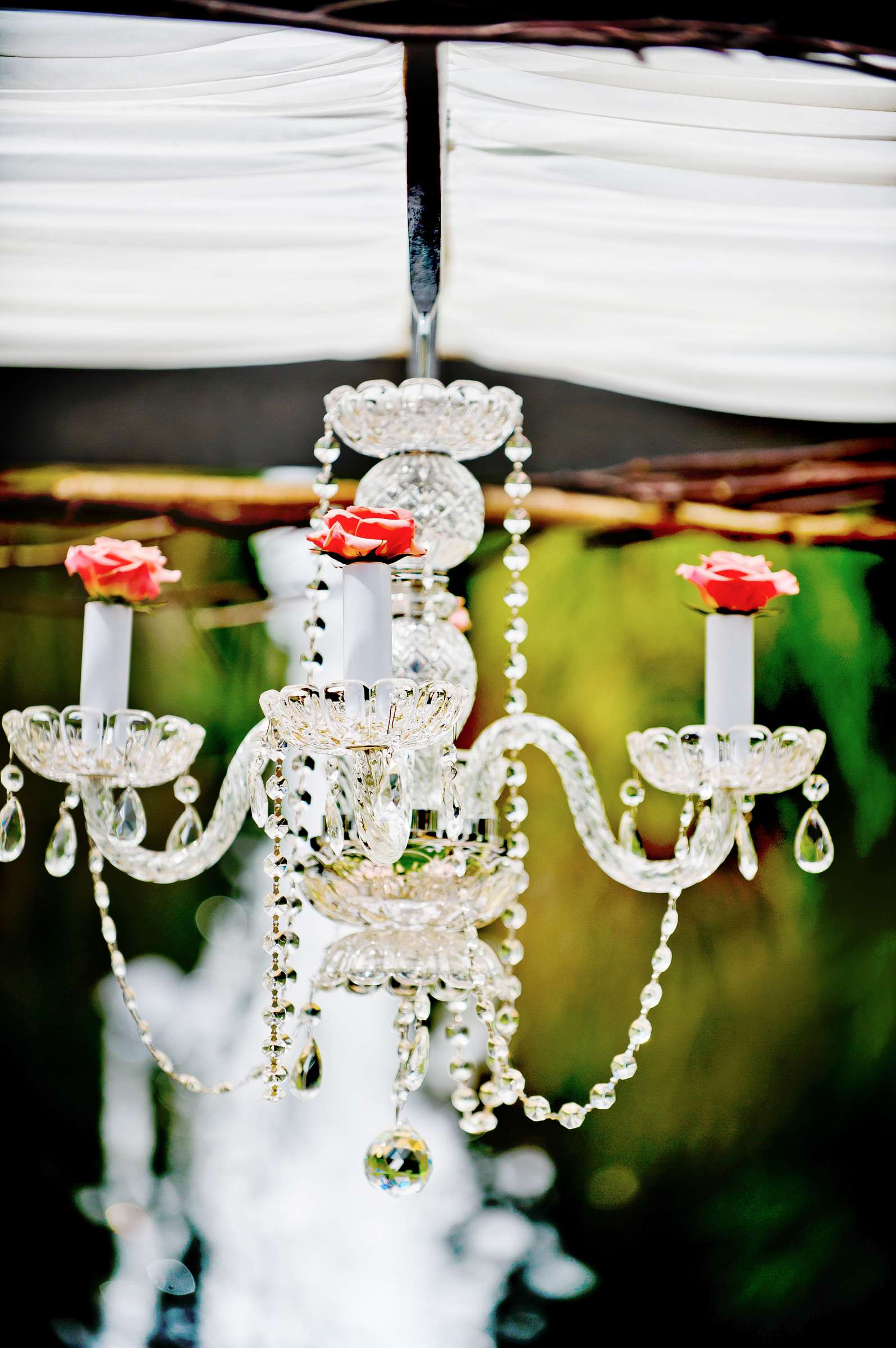 Estancia Wedding coordinated by Emily Smiley, Janelle and James Wedding Photo #306548 by True Photography
