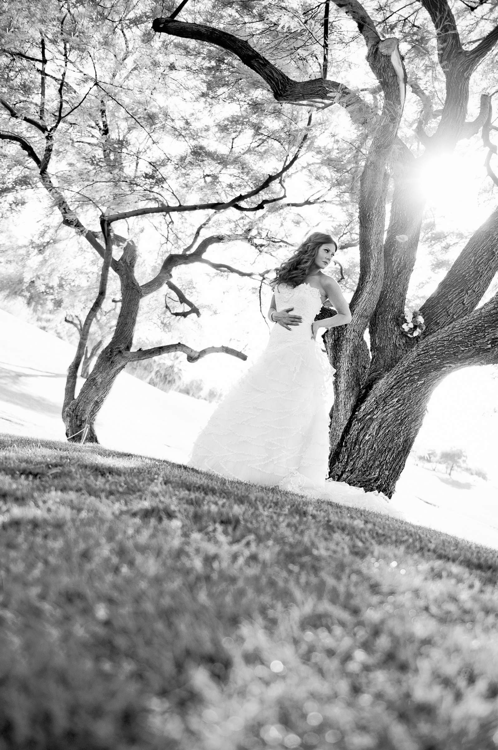 Desert Willow Golf Resort Wedding, Meaghan and Landon Wedding Photo #313957 by True Photography