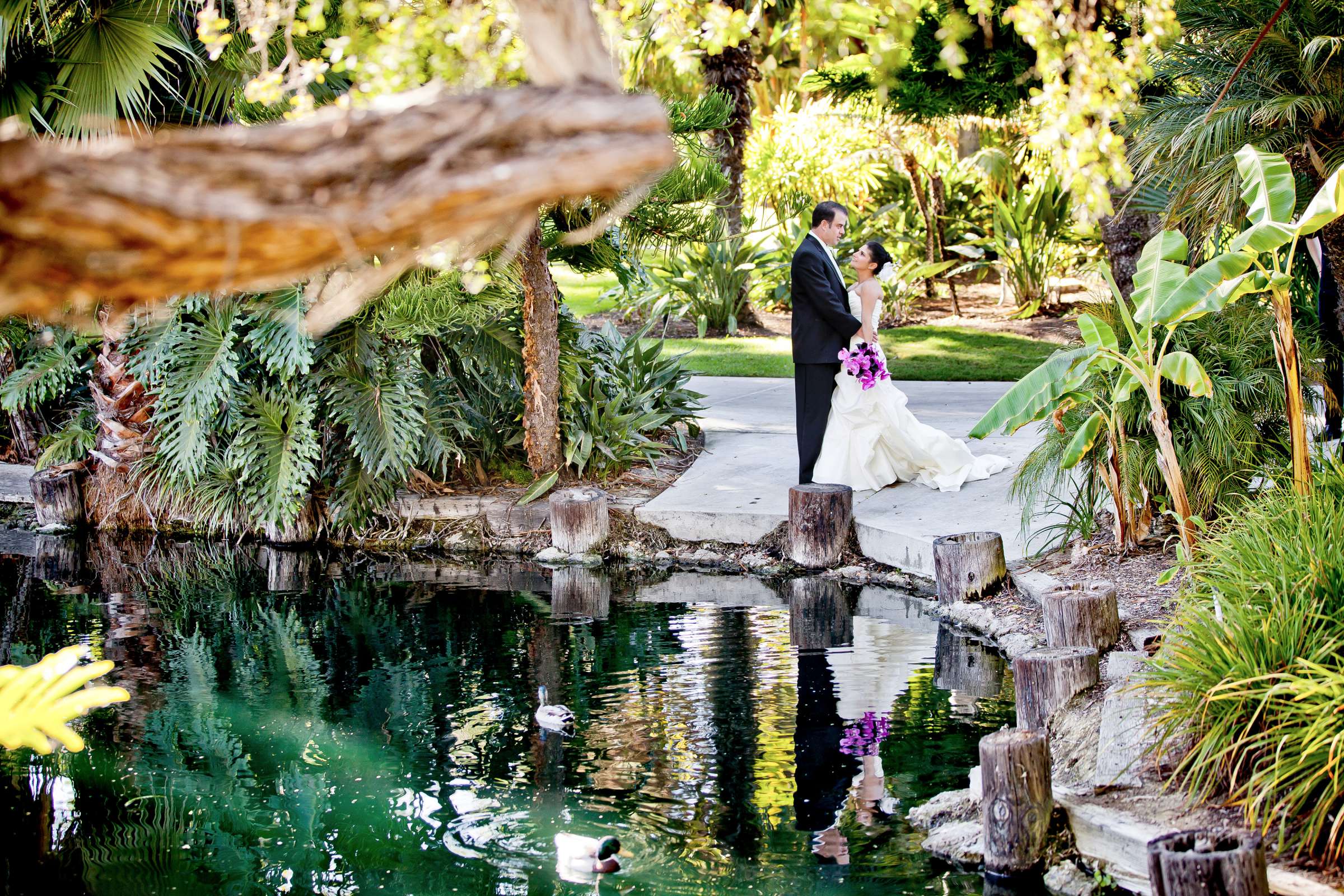 Green colors, Reflection, Tropical at Paradise Point Wedding, Lisa and Jason Wedding Photo #317231 by True Photography