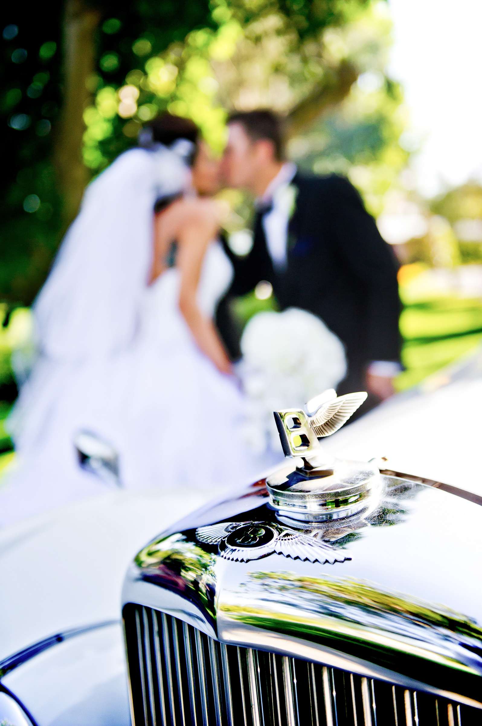 Grand Tradition Estate Wedding, Breanna and Brian Wedding Photo #317786 by True Photography