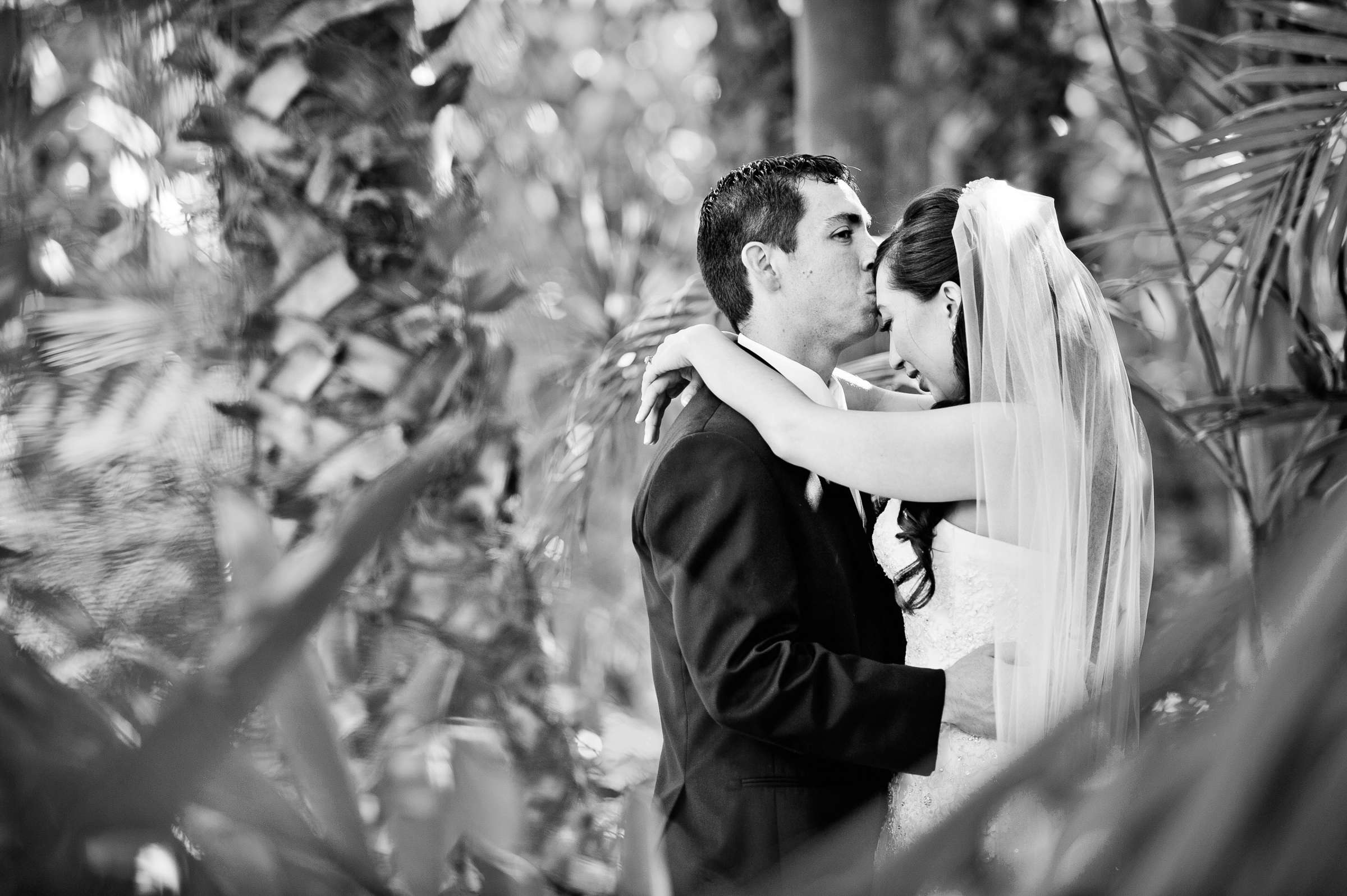 Wedding, Jennifer and Chris Wedding Photo #317938 by True Photography