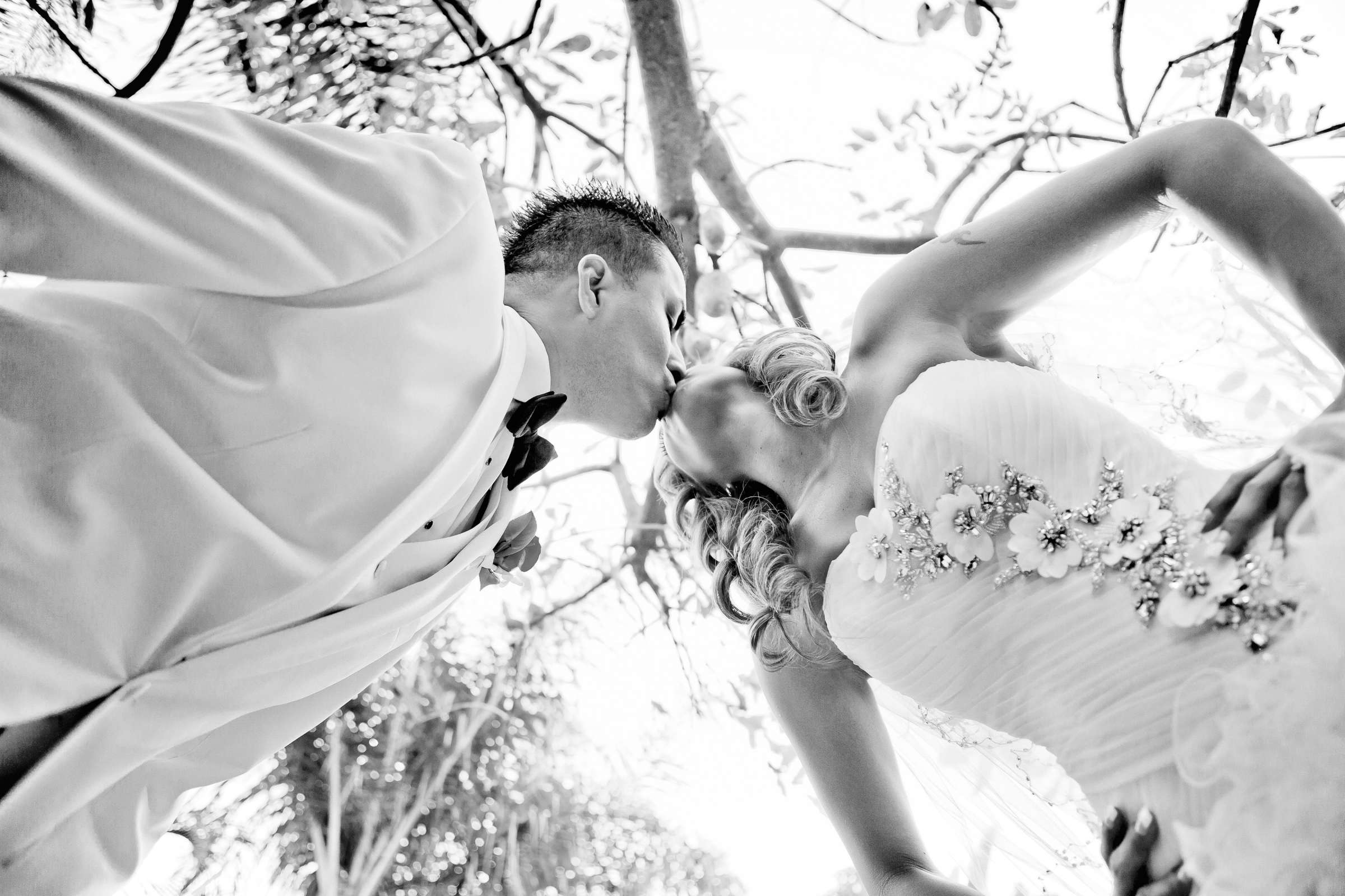 Grand Tradition Estate Wedding, Chanellie and Peter Wedding Photo #317976 by True Photography