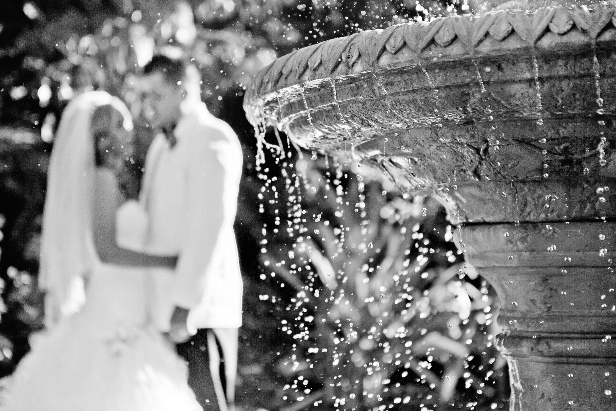 Grand Tradition Estate Wedding, Chanellie and Peter Wedding Photo #318042 by True Photography