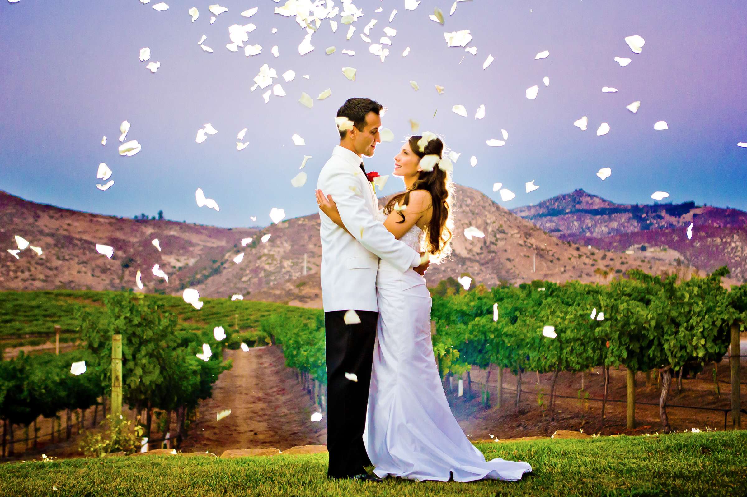 Orfila Vineyards Wedding coordinated by I Do Weddings, Apple and Ben Wedding Photo #2 by True Photography
