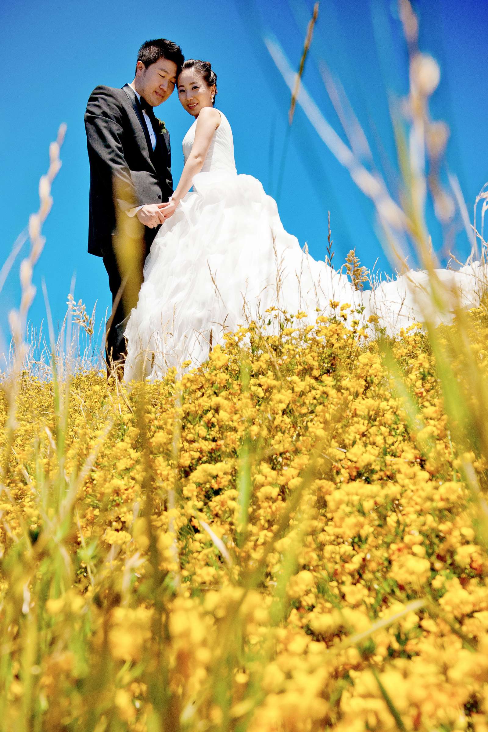 Ritz Carlton Half Moon Bay Wedding, Jin and BJ Wedding Photo #320352 by True Photography