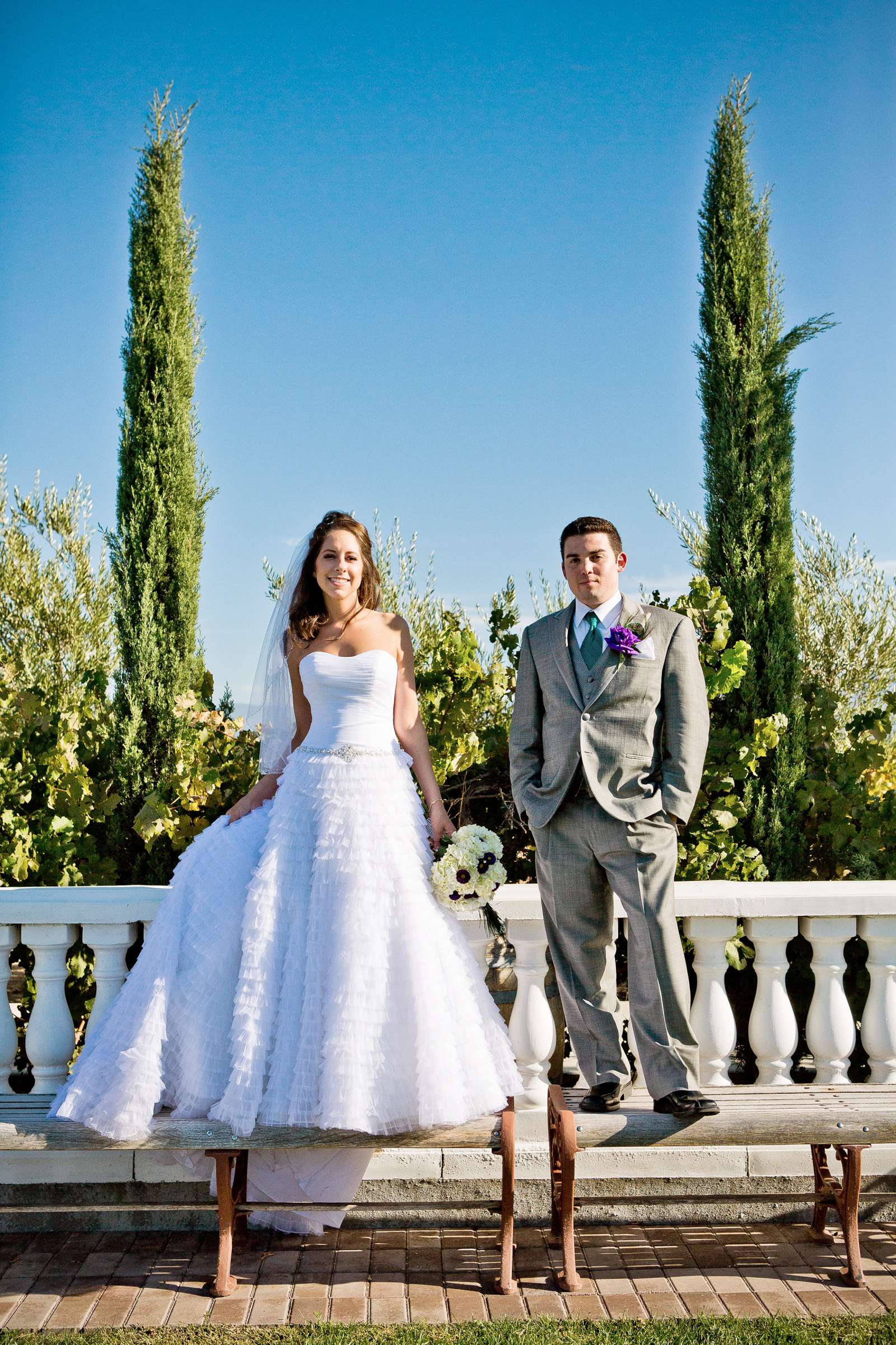 Mount Palomar Winery Wedding, Brandi and Jason Wedding Photo #321664 by True Photography