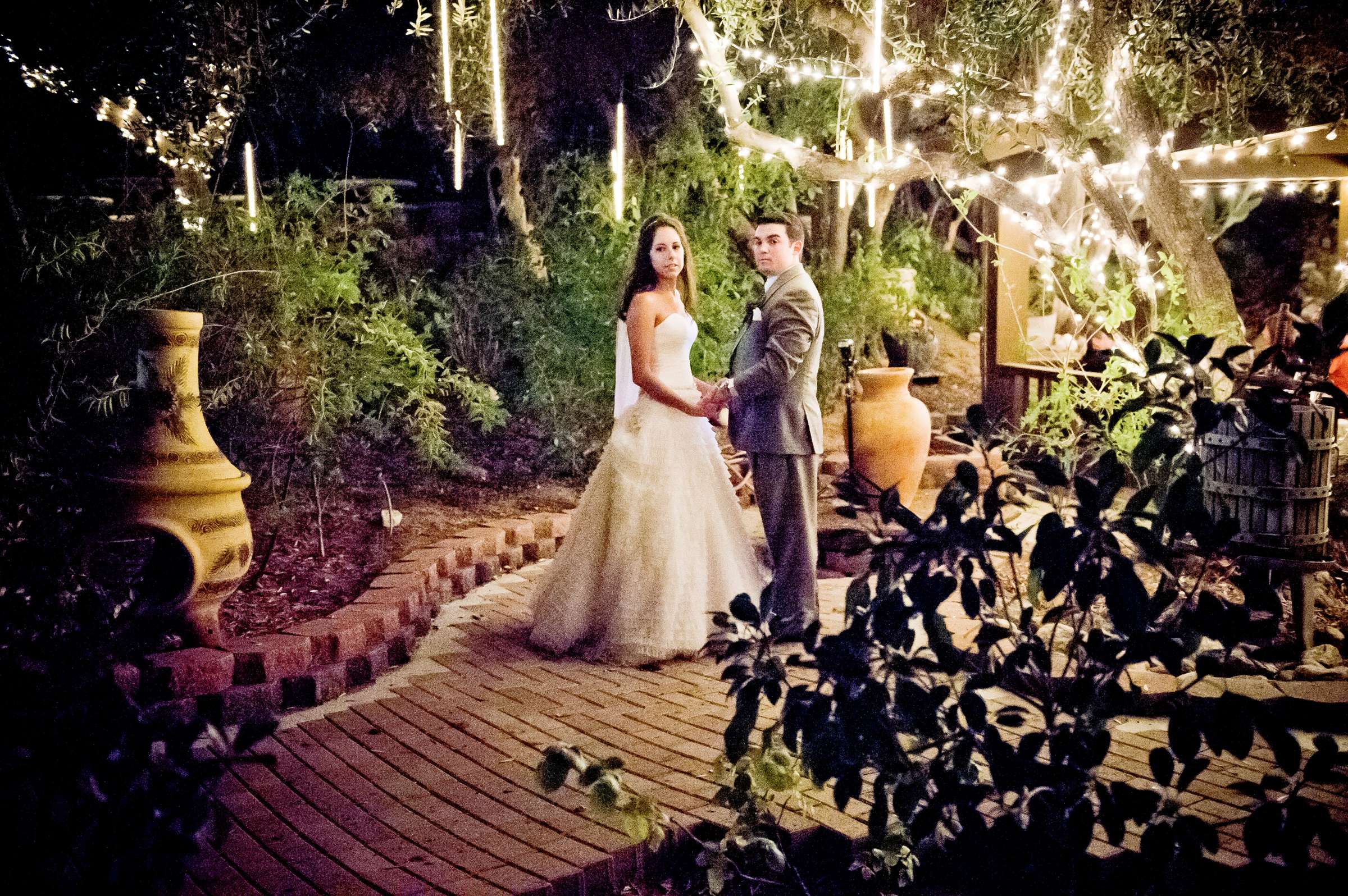 Mount Palomar Winery Wedding, Brandi and Jason Wedding Photo #321700 by True Photography